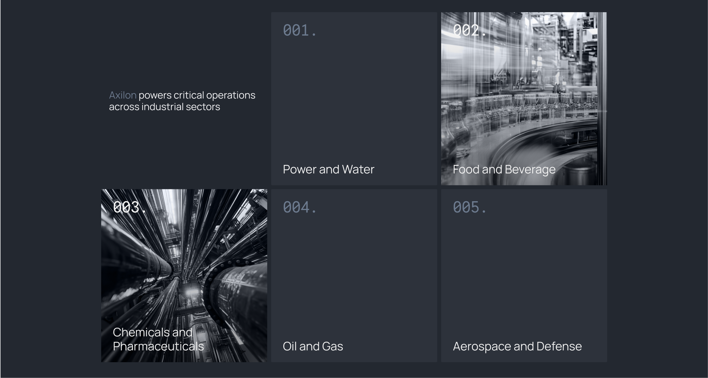 Axilon web 5