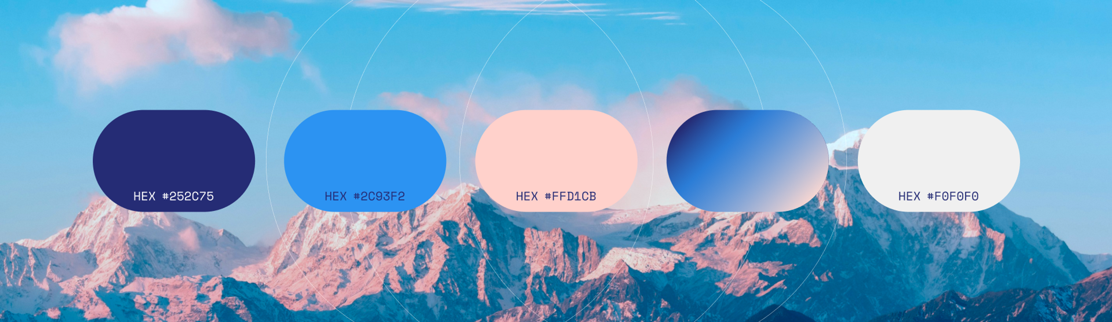 Tech startup branding color palette