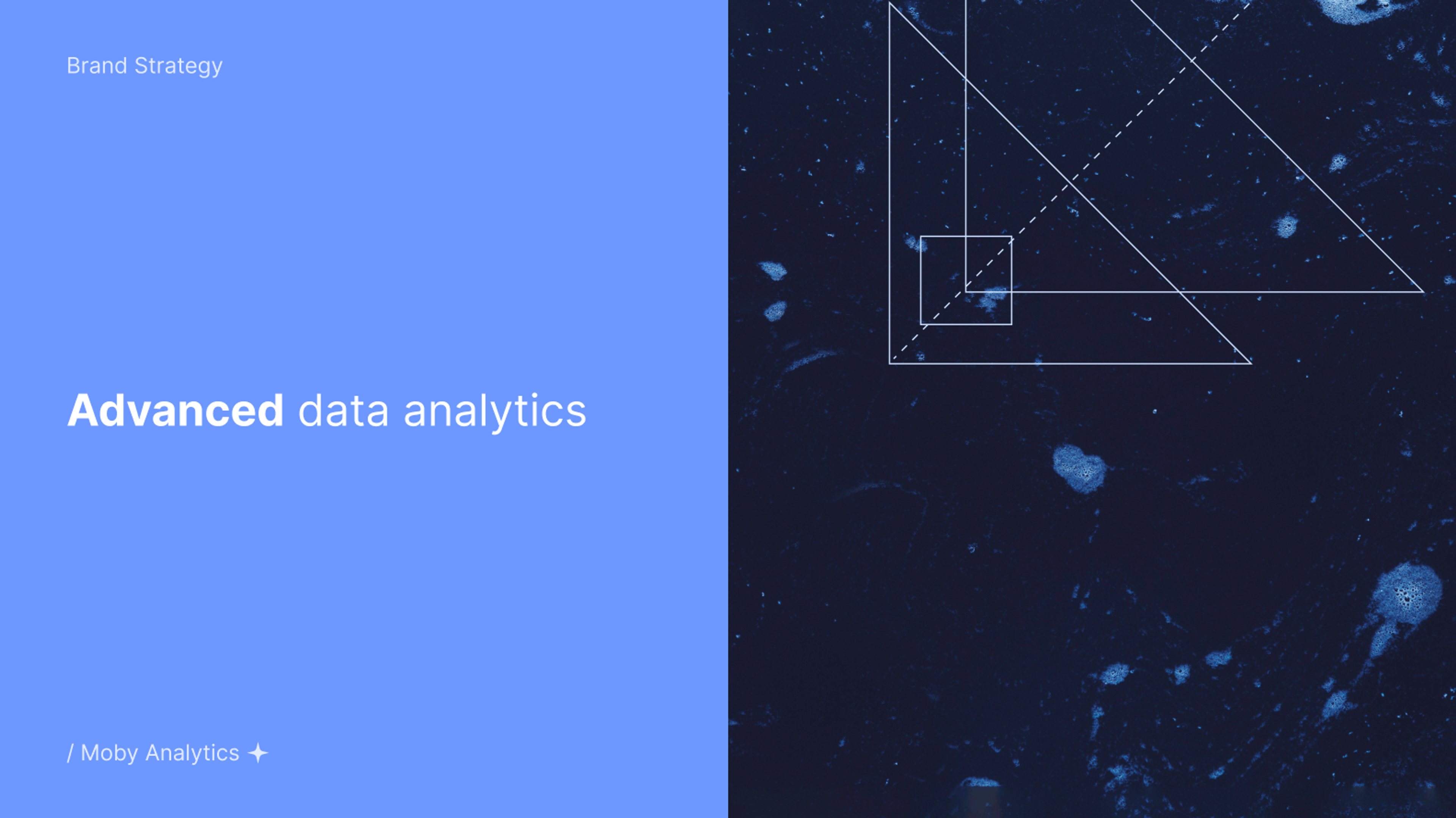 Moby Analytics concept 3