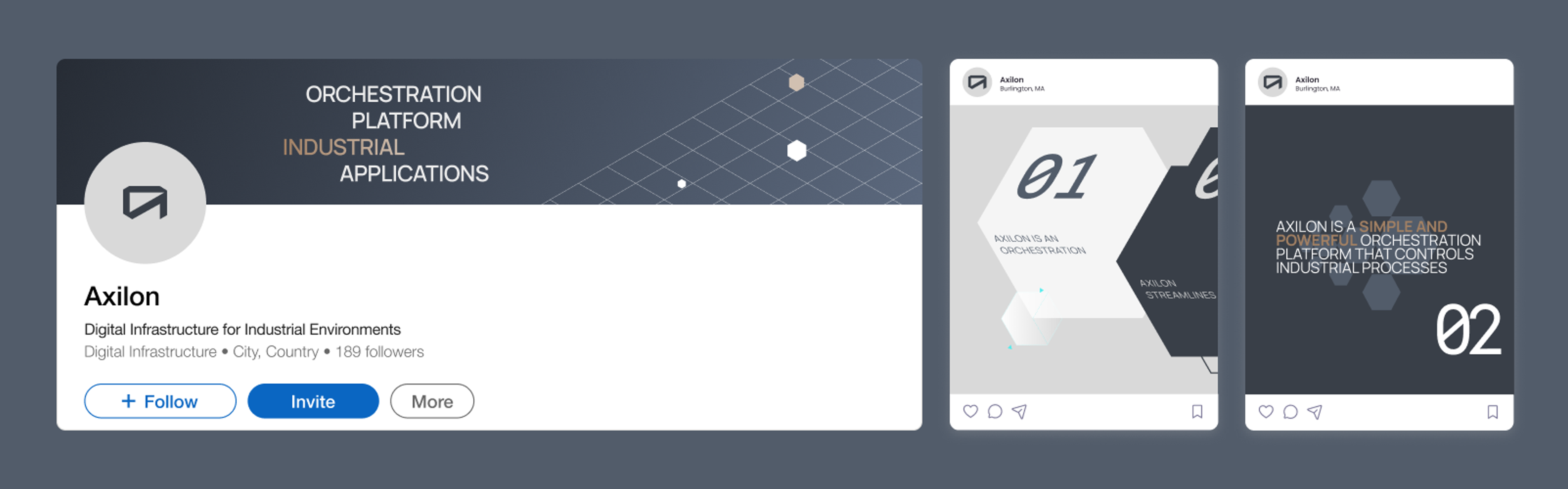 Brand communication for Axilon: Social media
