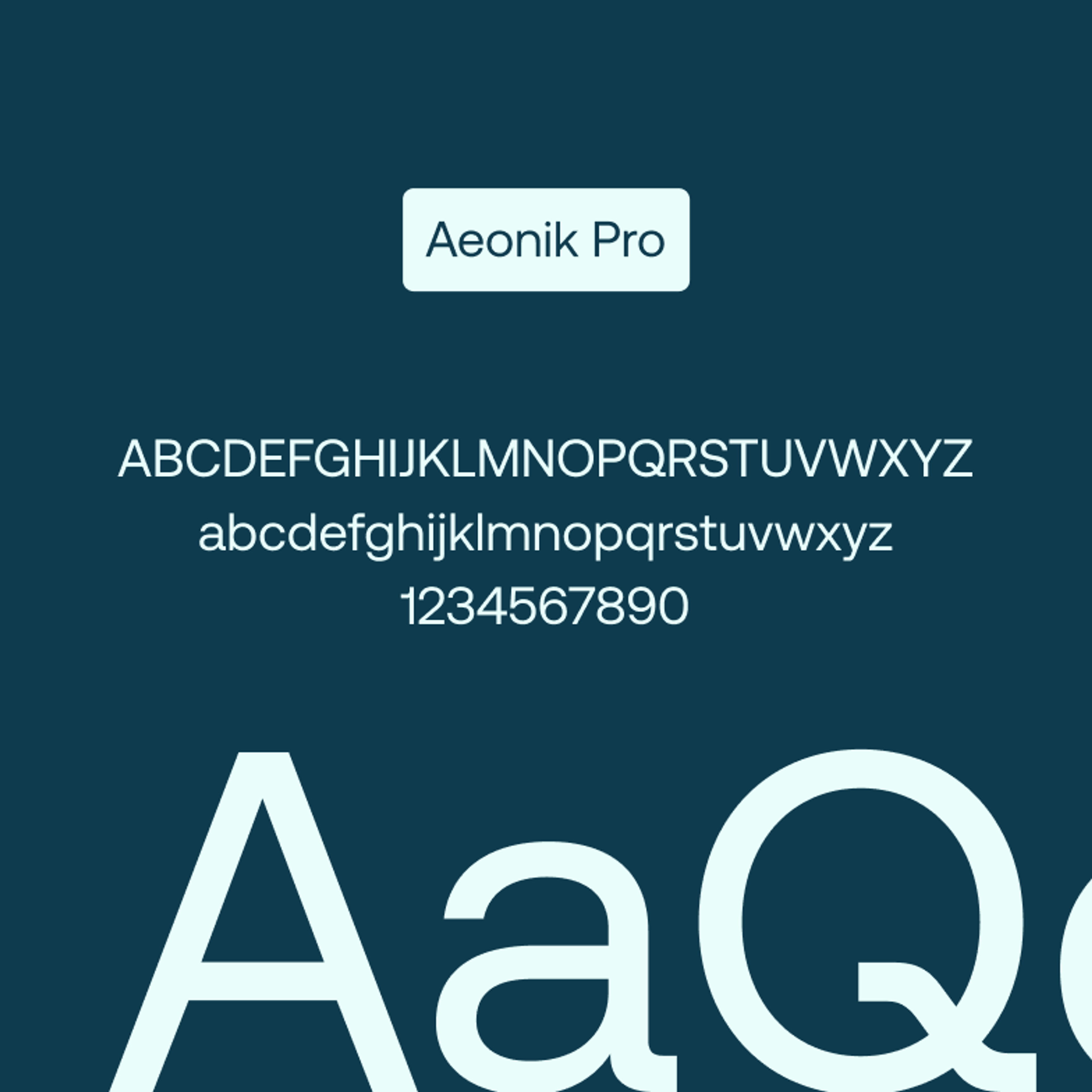 Band24 typography