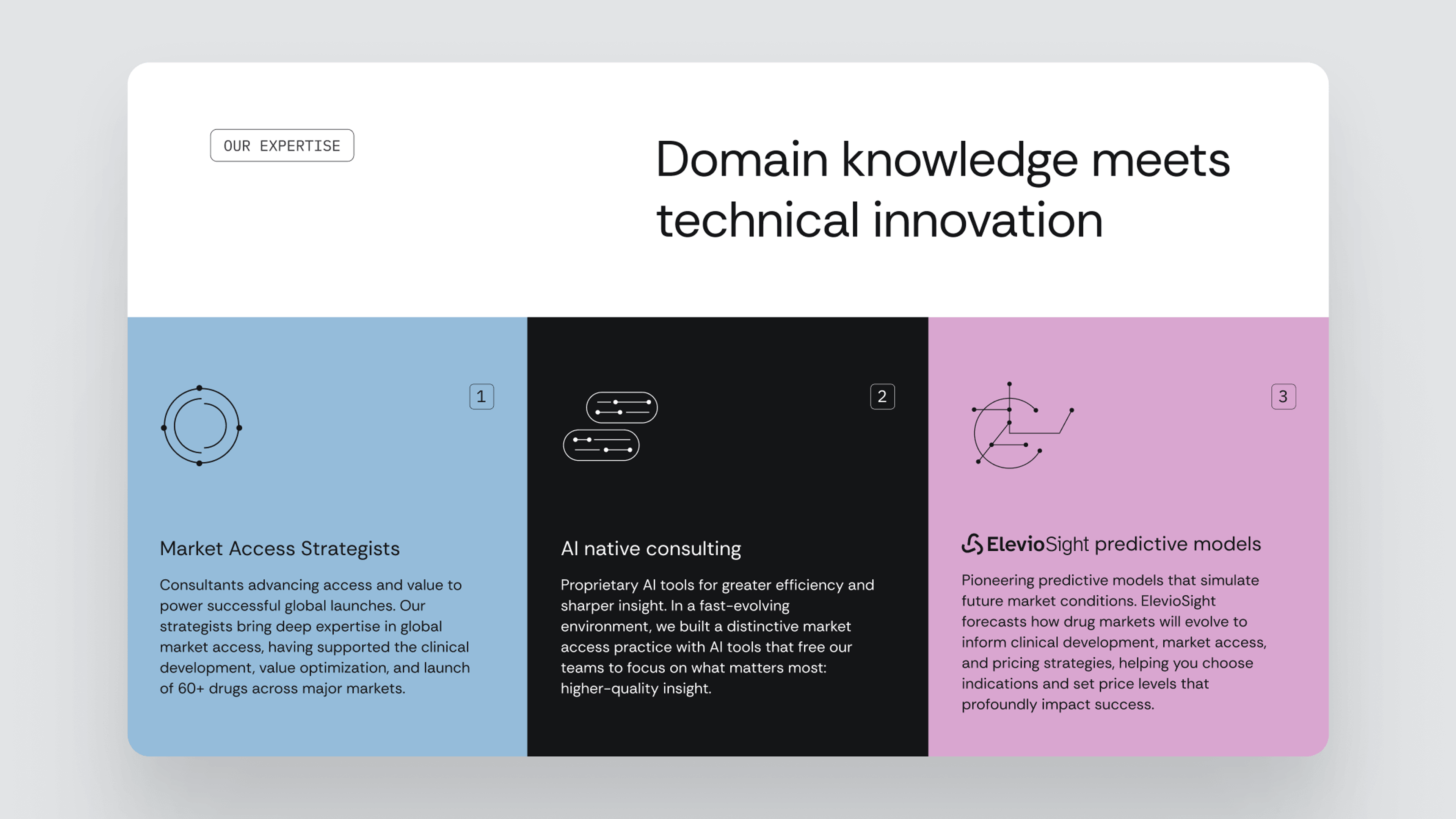 Elevio Group web 2