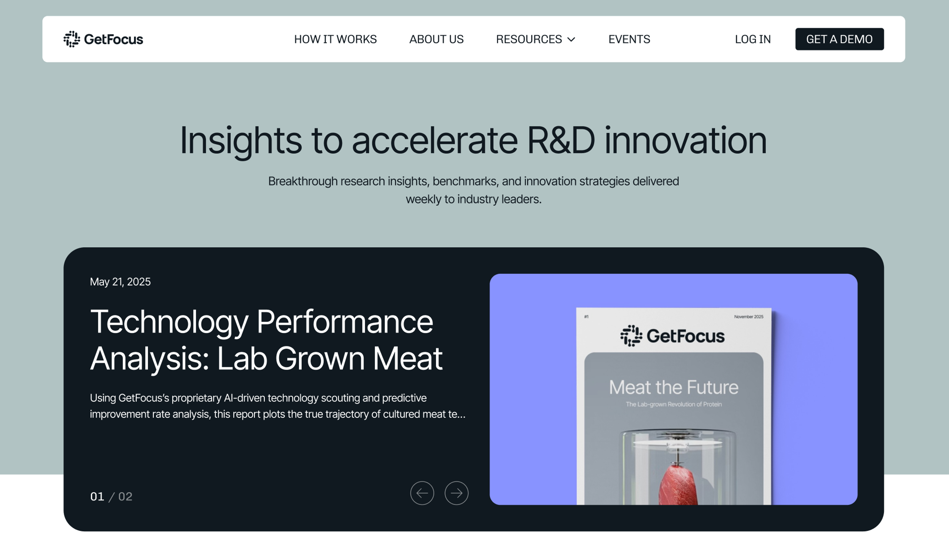 GetFocus web 5