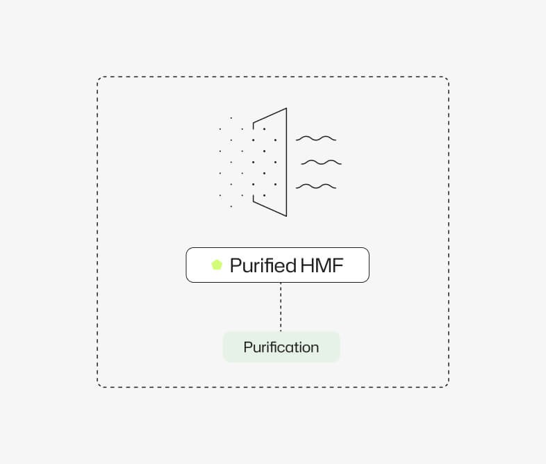 Furanova illustration