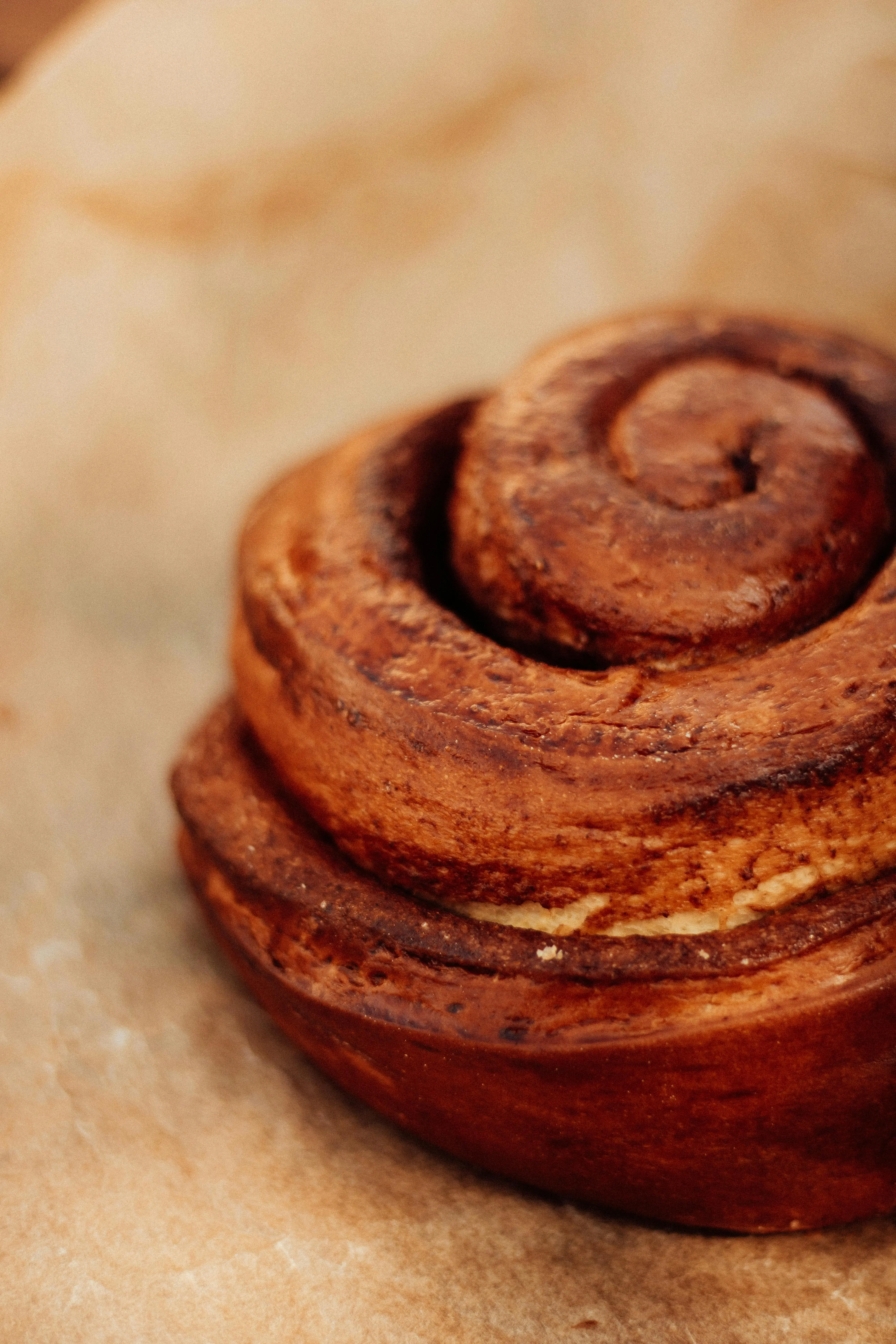 cinnamon