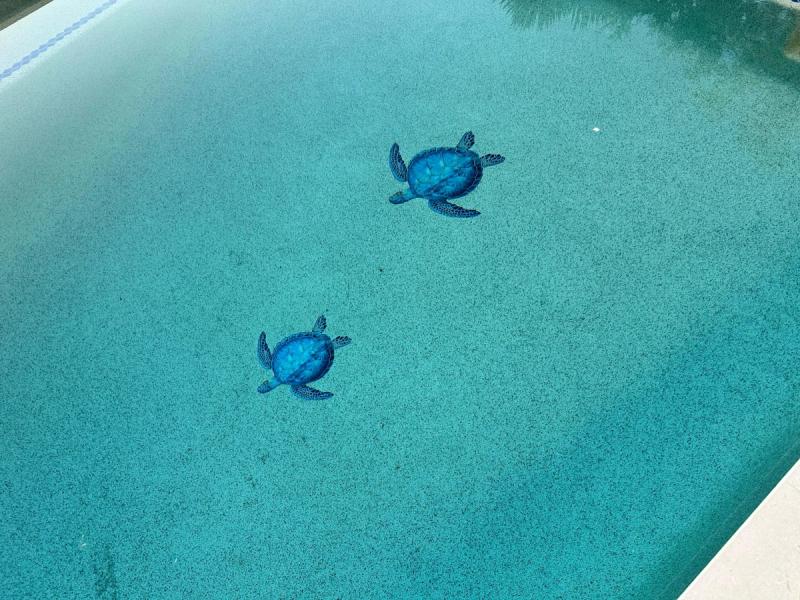 Nokomis, FL