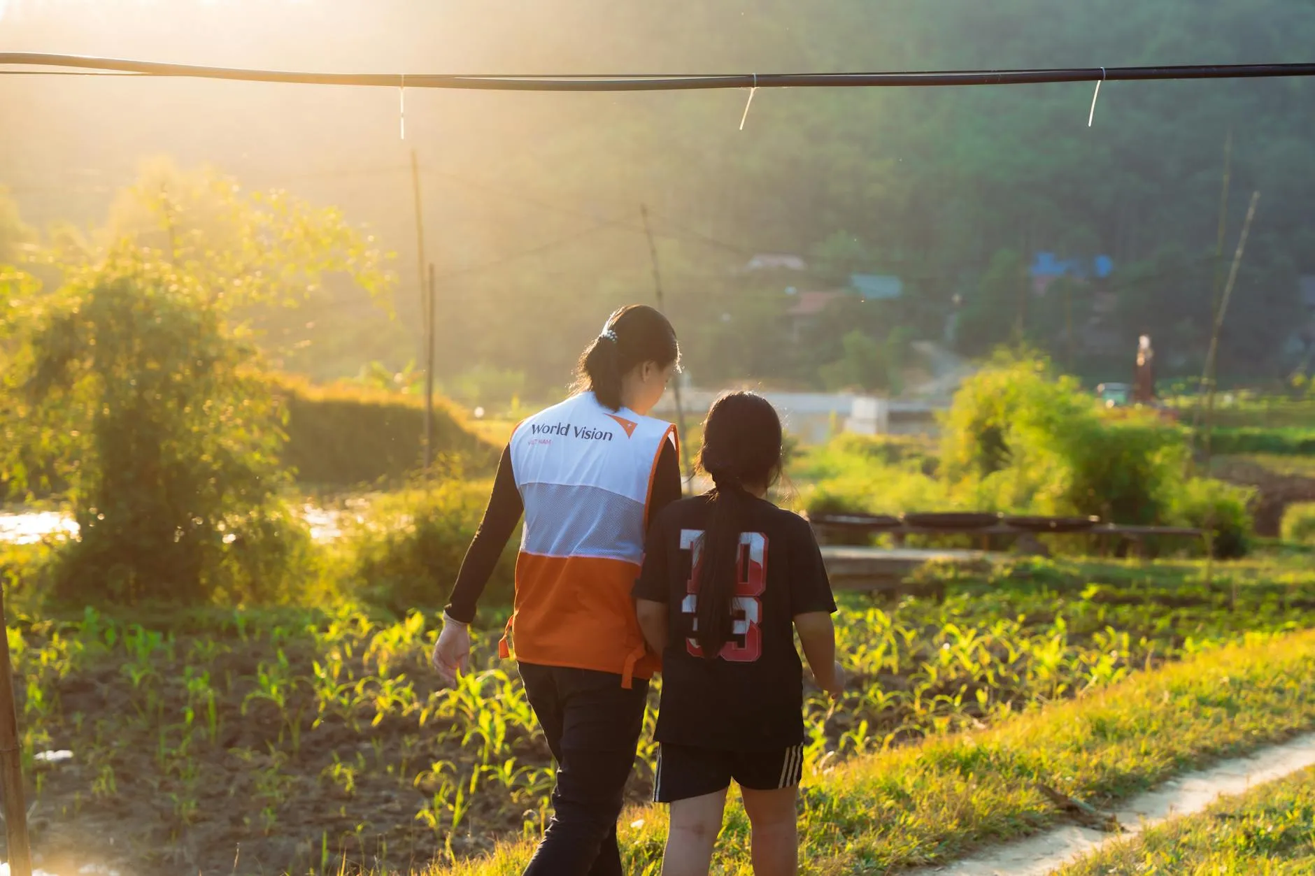 Cover image for Brocent IT blog post: Brocent助力世界顶级NGO香港新办公室IT设备快速部署：3天完成终端电脑、升降桌、打印及会议设备安装调试