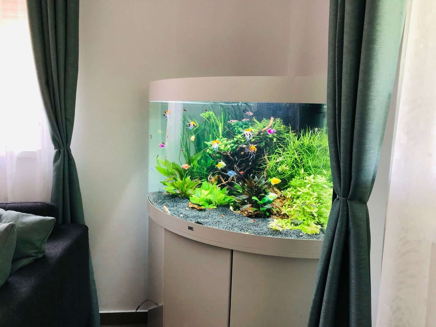 Corner aquarium framed by curtains