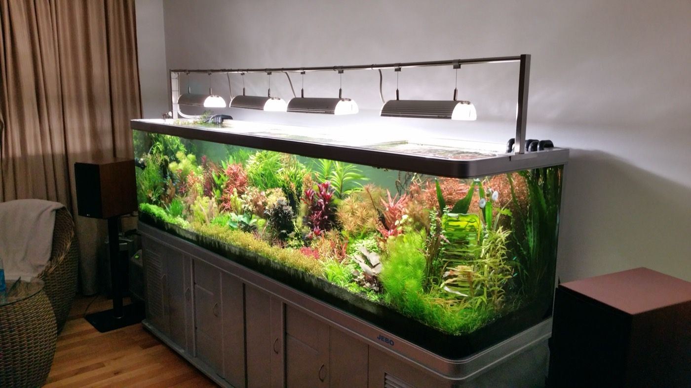 Large freestanding room-divider aquarium in a home
