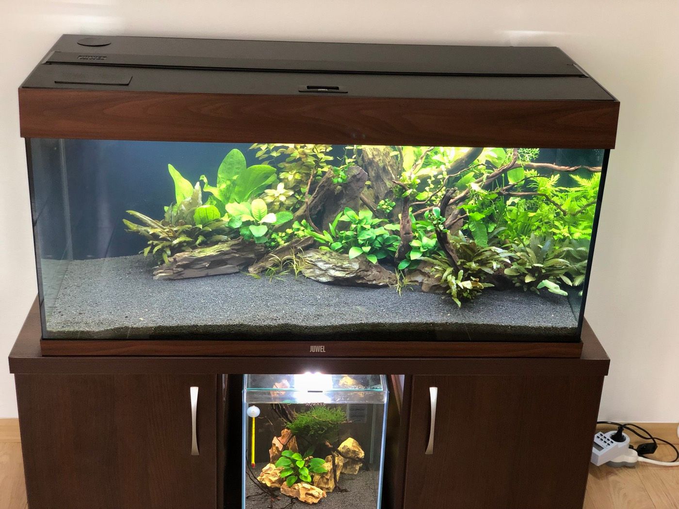 Fresh install: nano aquarium integrated in cabinetry