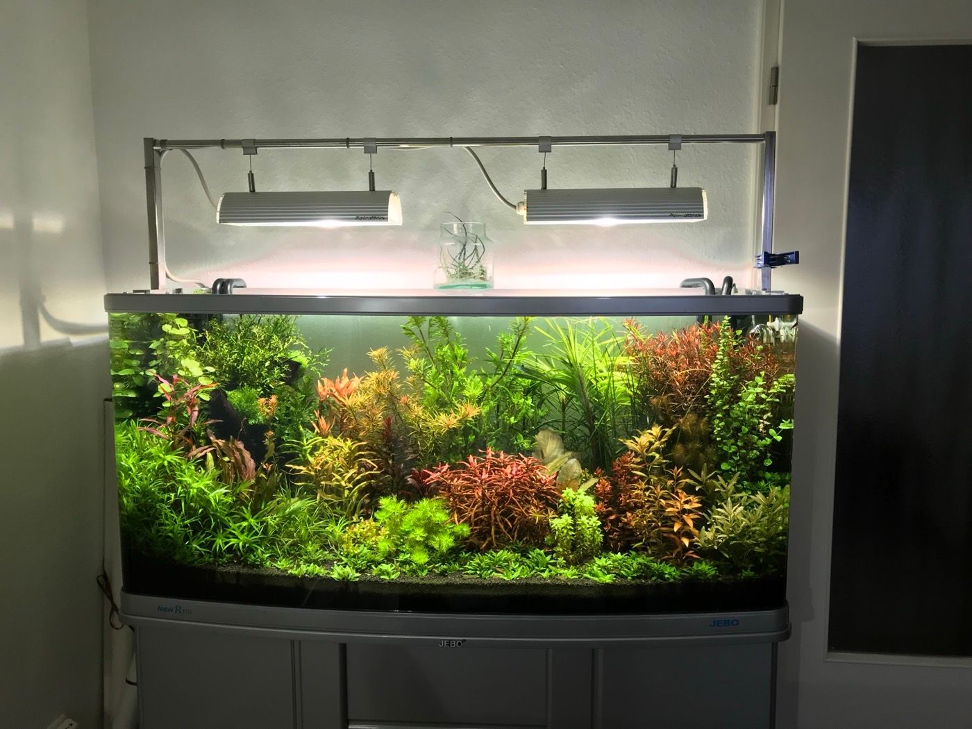 Bowfront Dutch-style planted tank with suspended lighting