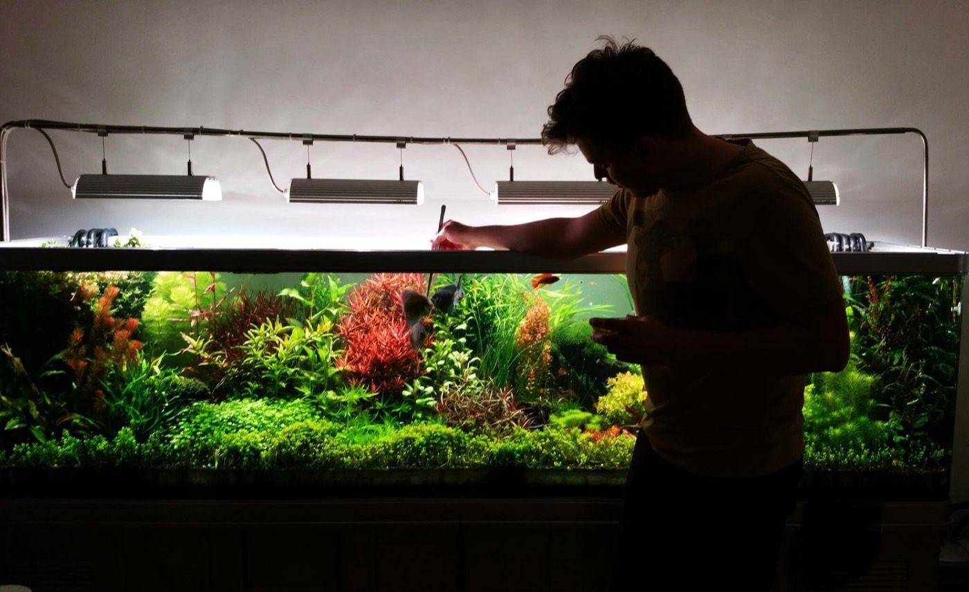 Working over a large aquarium, silhouetted above the water