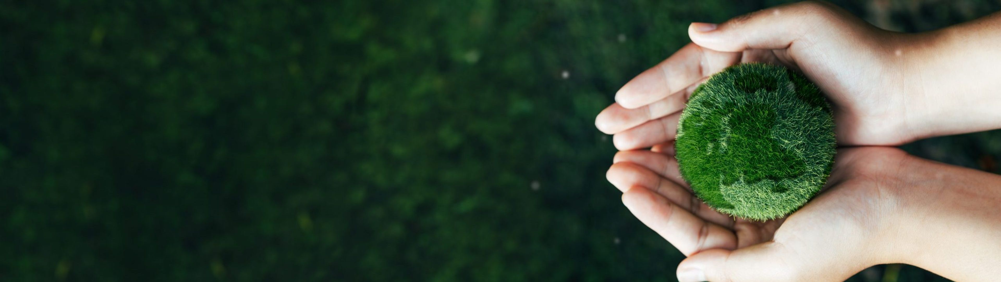 Montenegrin Renewables Act introduces support schemes for electricity from renewable sources