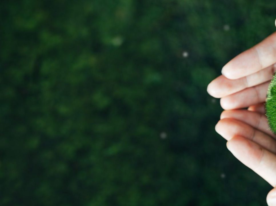 Montenegrin Renewables Act introduces support schemes for electricity from renewable sources