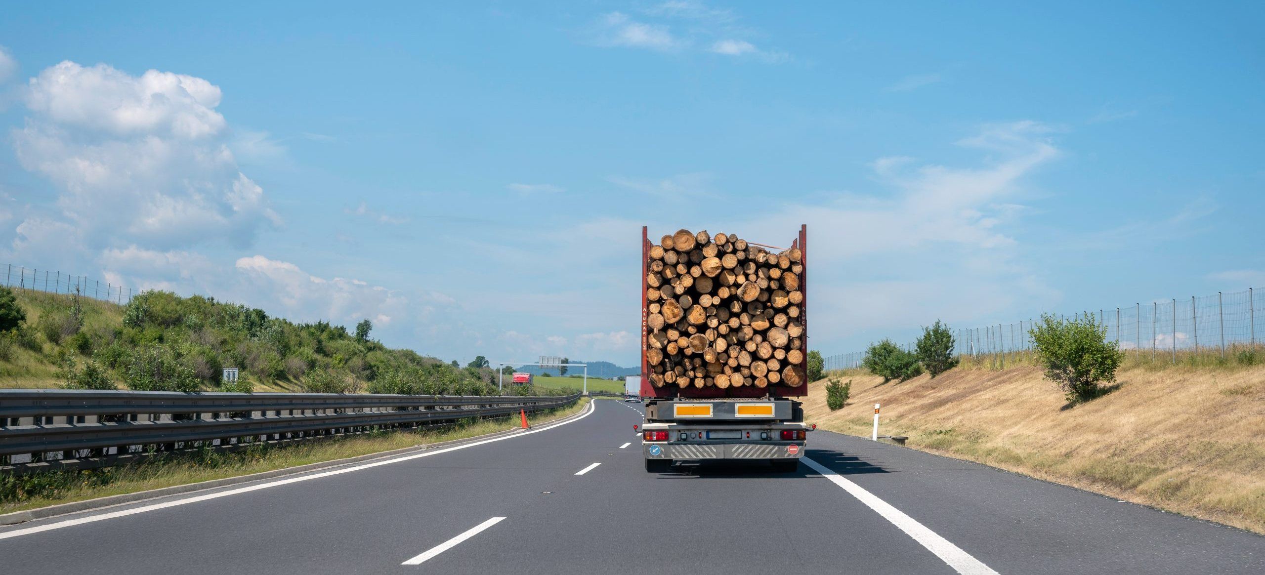 EU deforestation-free regulation enters into force, Serbian exporters should adapt by the end of 2024