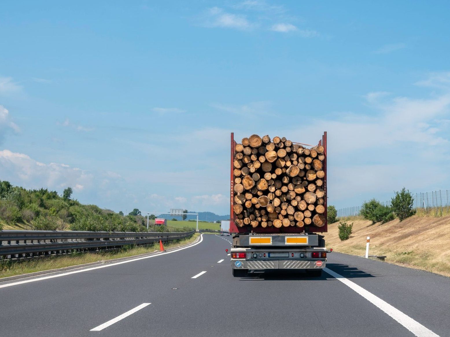 EU deforestation-free regulation enters into force, Serbian exporters should adapt by the end of 2024