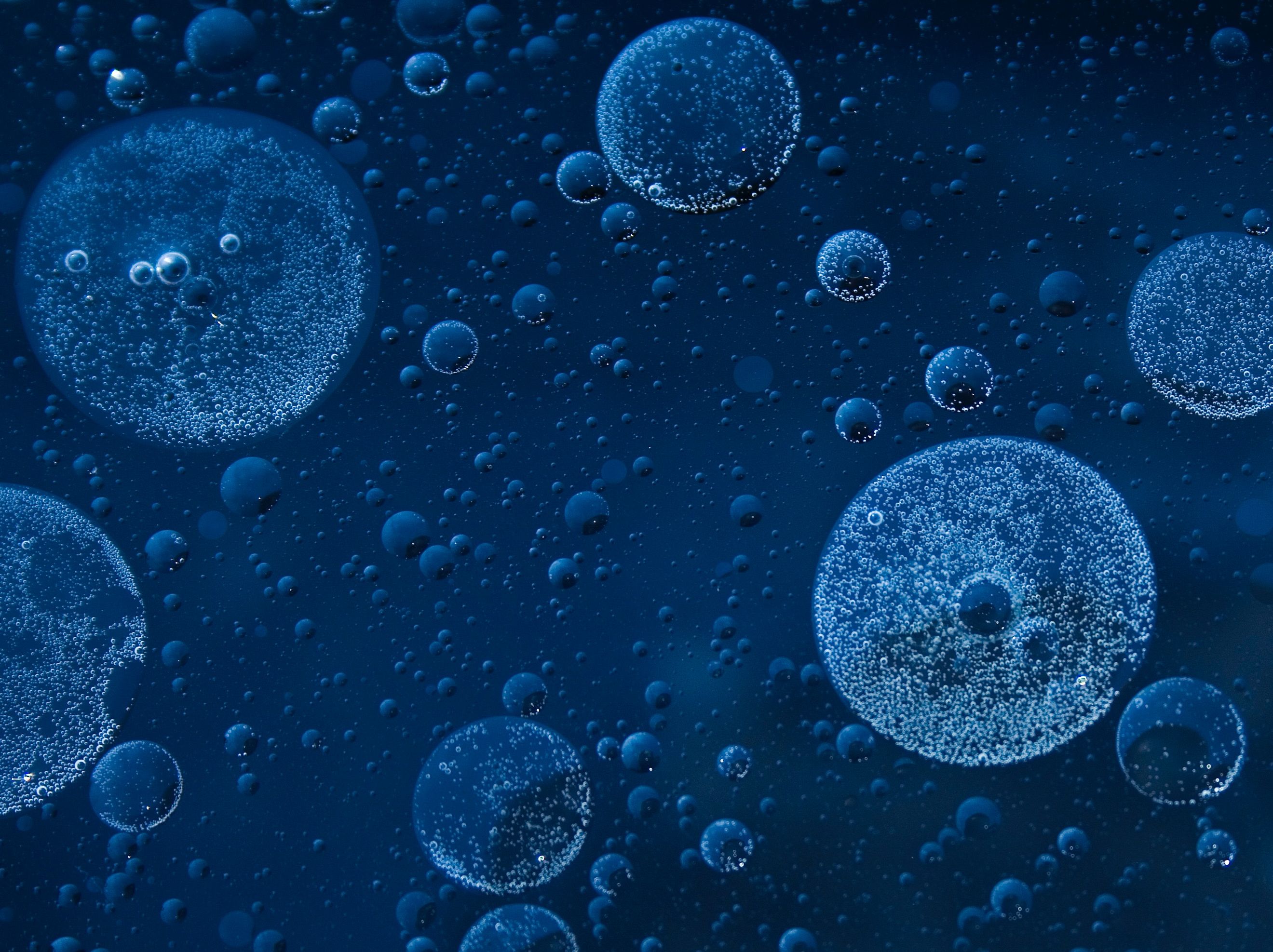 BDK Advokati 2021 update on life science regulation