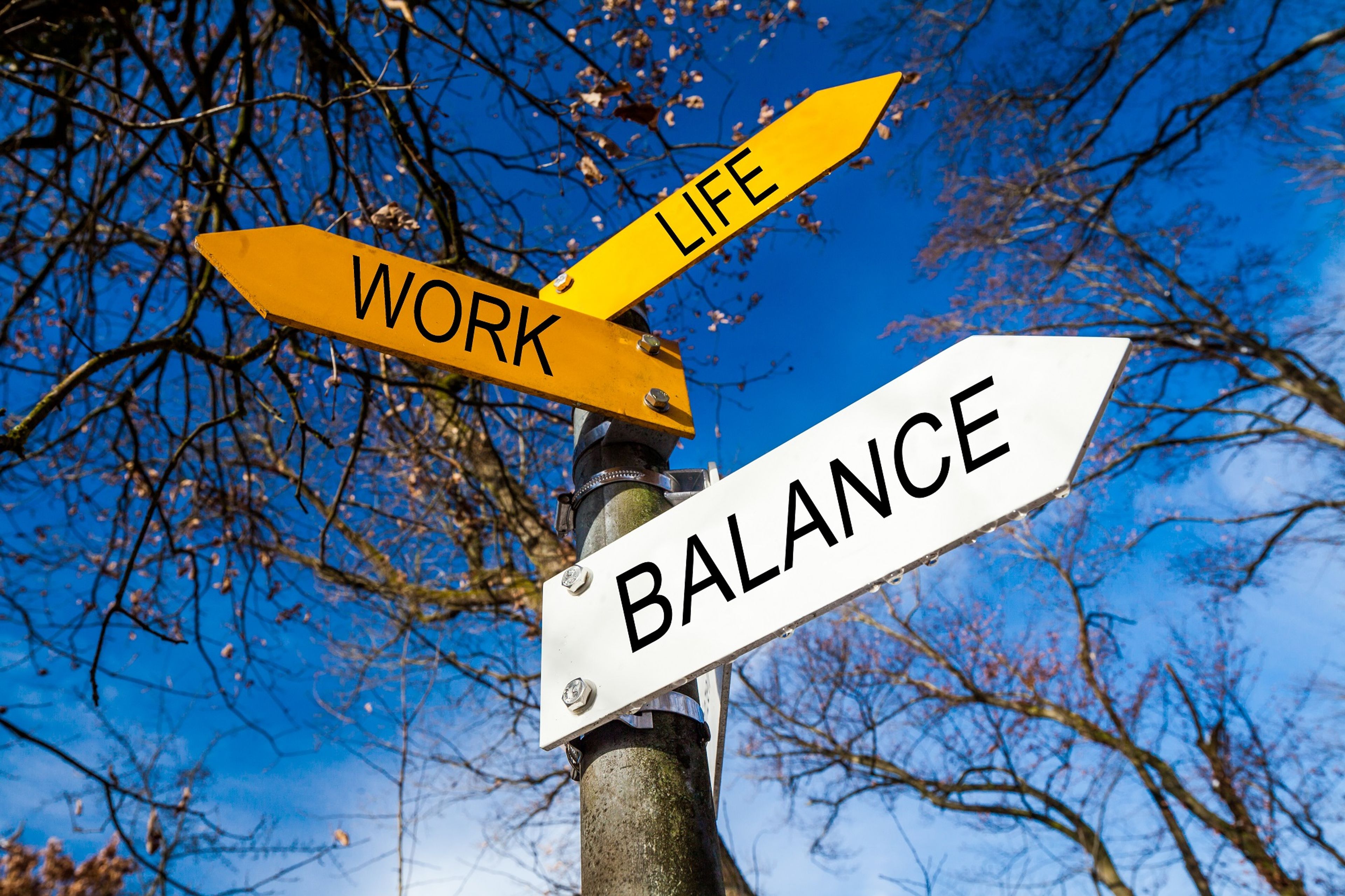 The Southeast Europe ESG in Employment 2022/2023 – Chapter I: Work Flexibility and Work-Life Balance