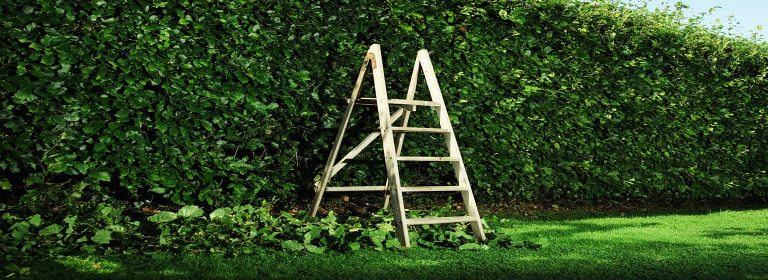 Data Protection in the Education Sector