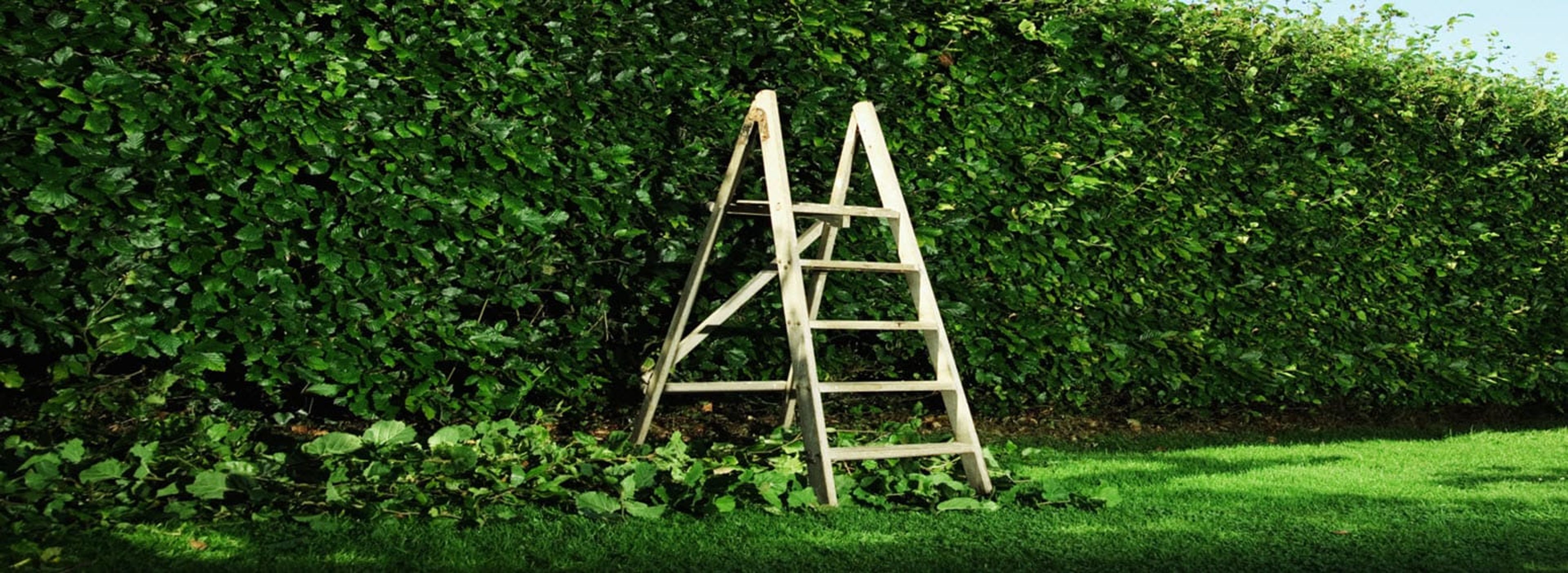 Data Protection in the Education Sector