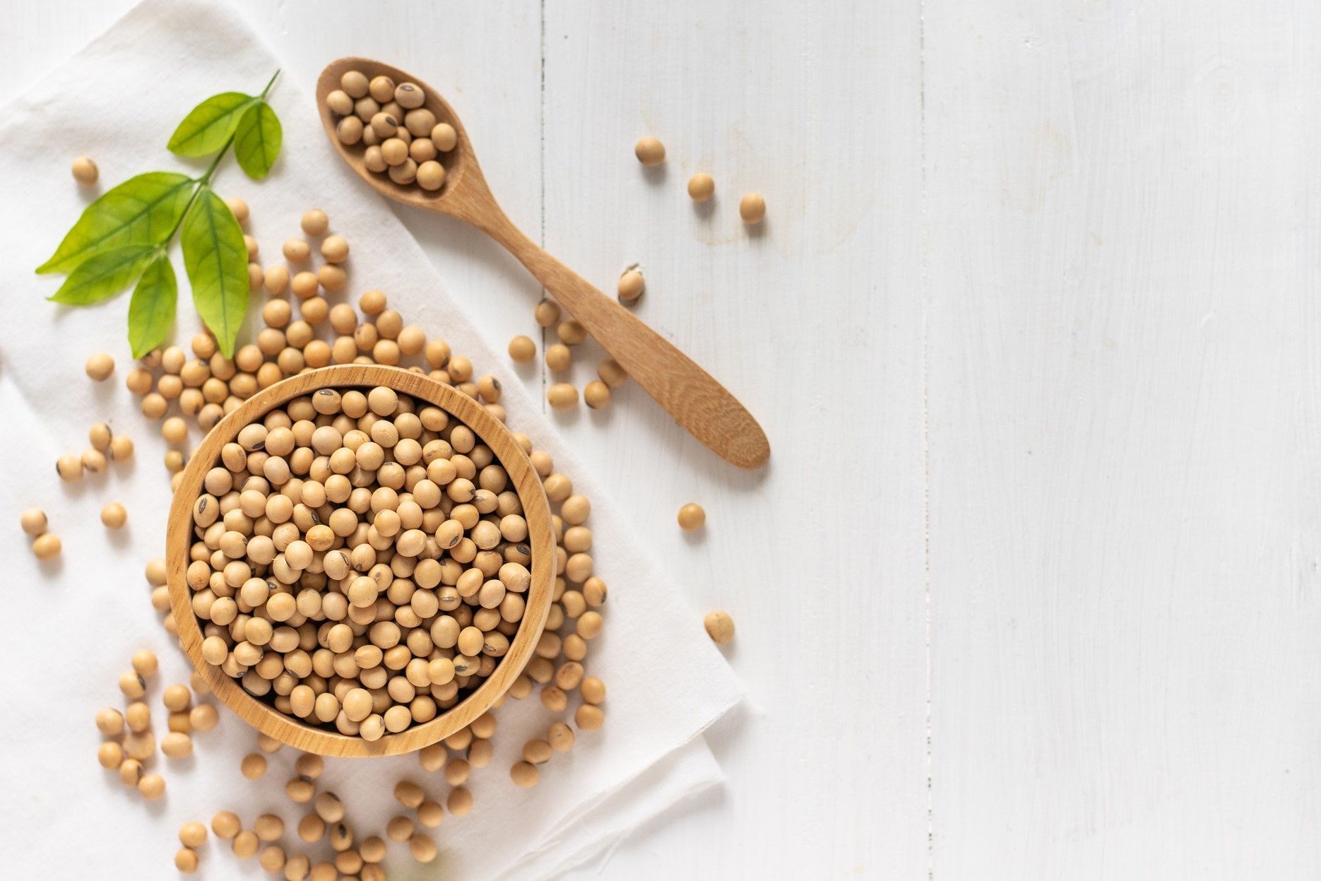 ADM to acquire Sojaprotein