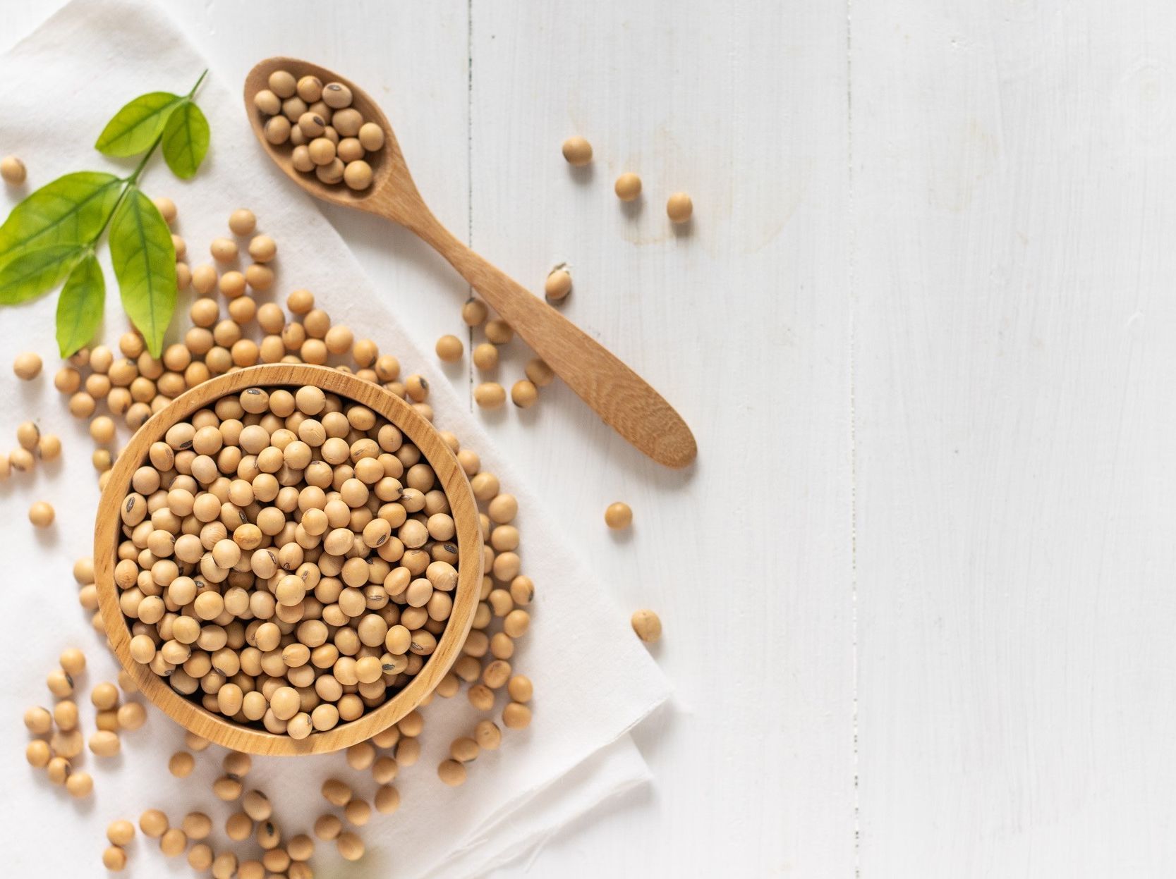 ADM to acquire Sojaprotein