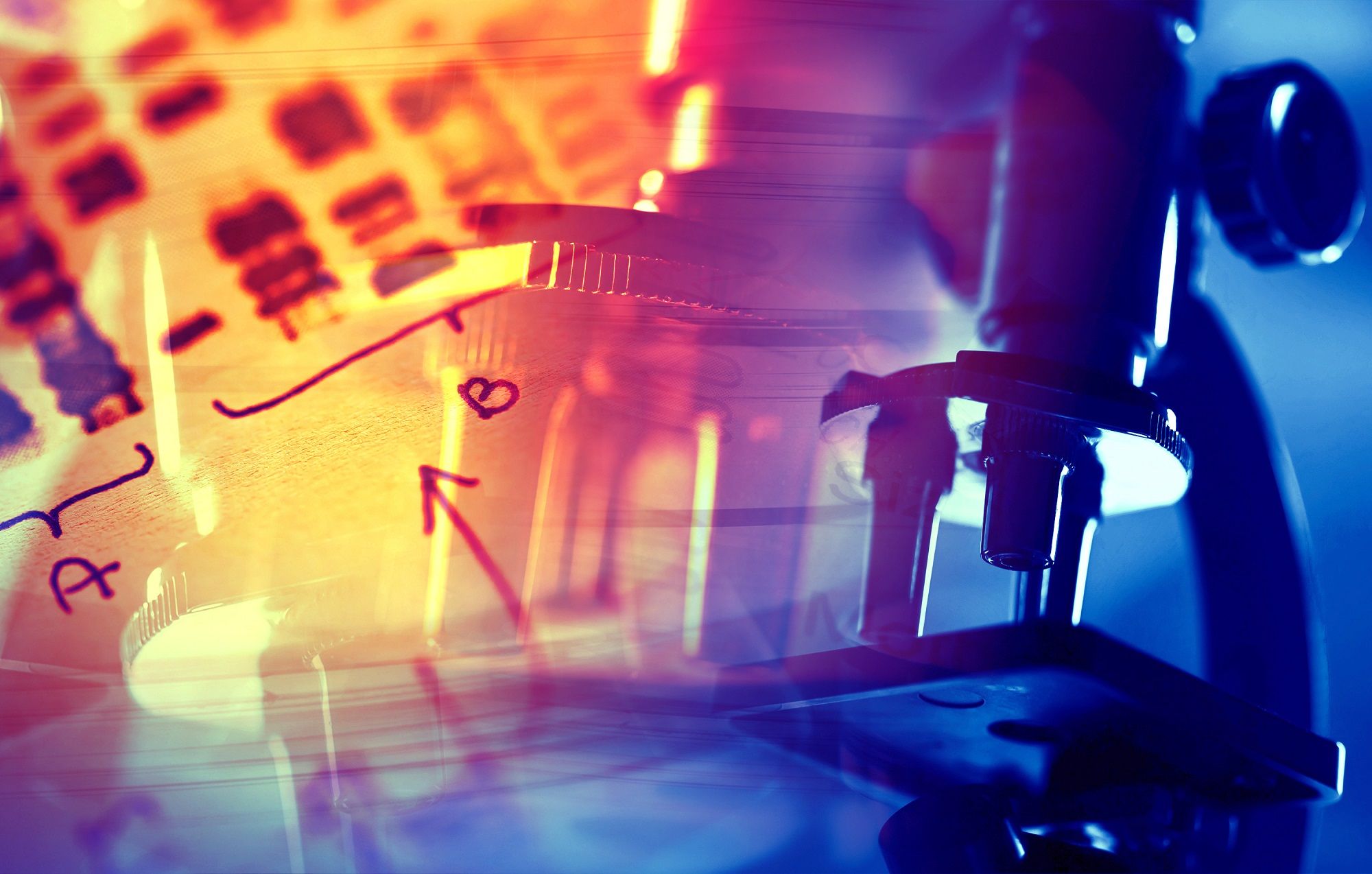 COVID-19 Update #2: Serbia/Montenegro/Bosnia and Herzegovina