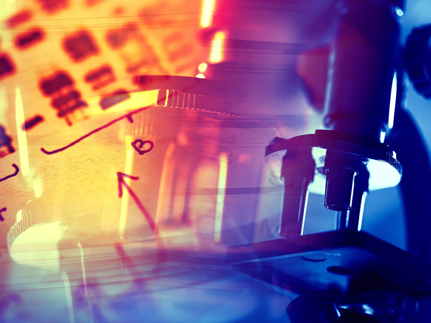 COVID-19 Update #2: Serbia/Montenegro/Bosnia and Herzegovina