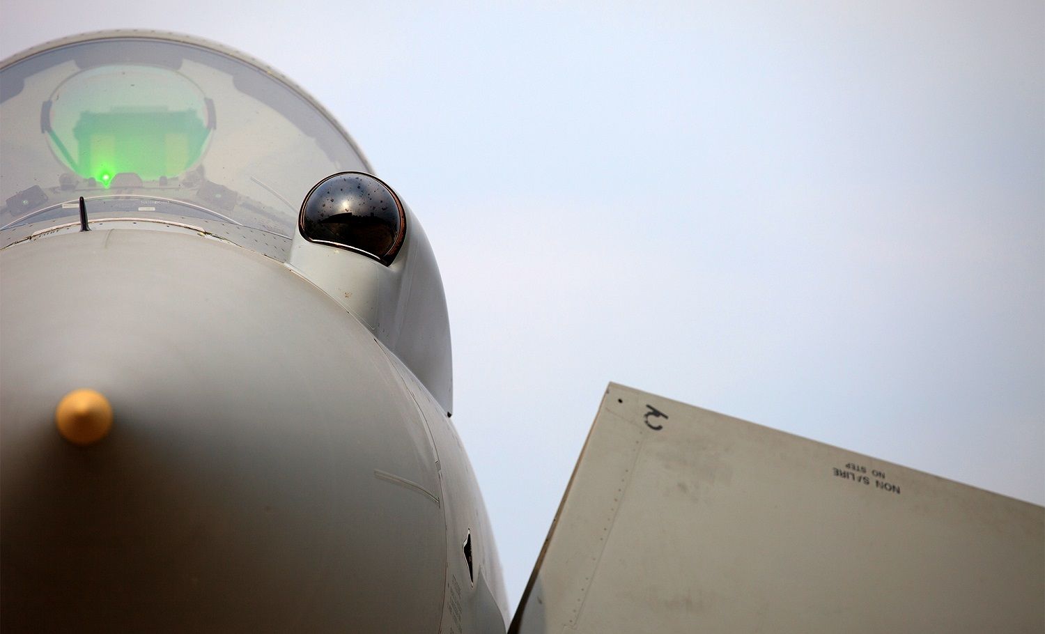 Saving Montenegro Airlines