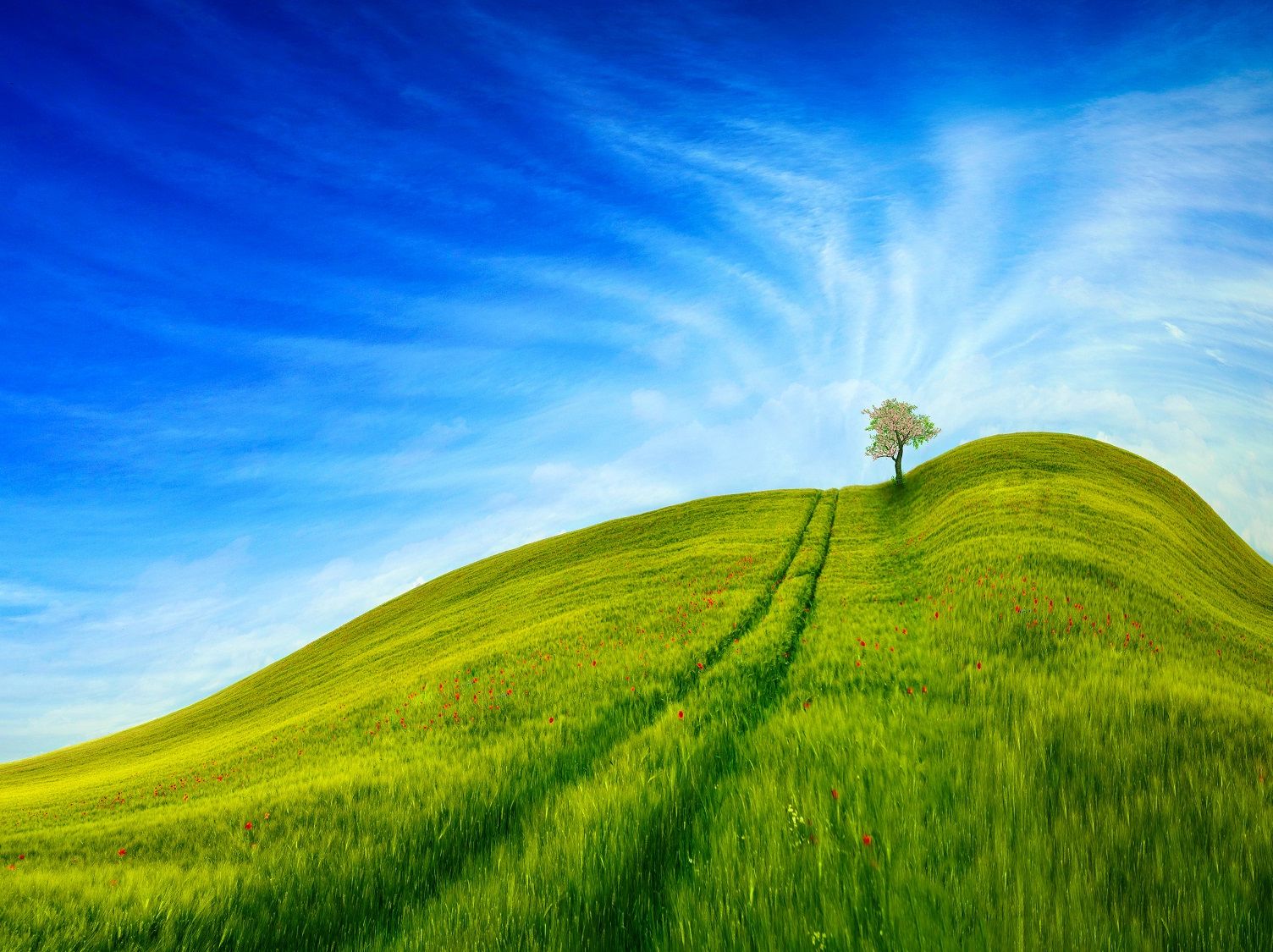 ESG in Serbia at the beginning of 2022: status and prospects