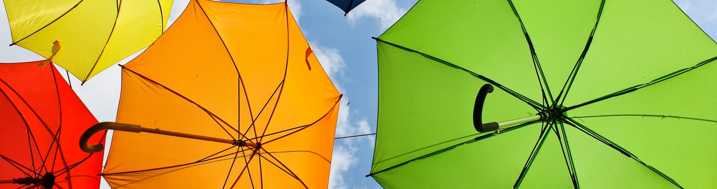 VIII Belgrade Arbitration Conference