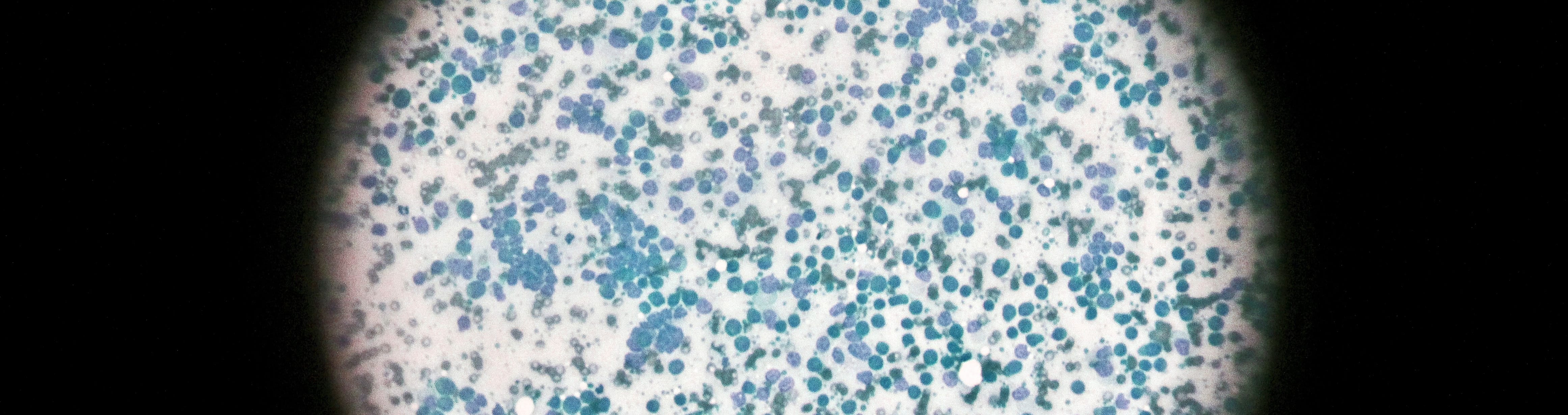 Bogdan Ivanišević and Slobodan Trivić write in CEE Legal Matters about Life Sciences