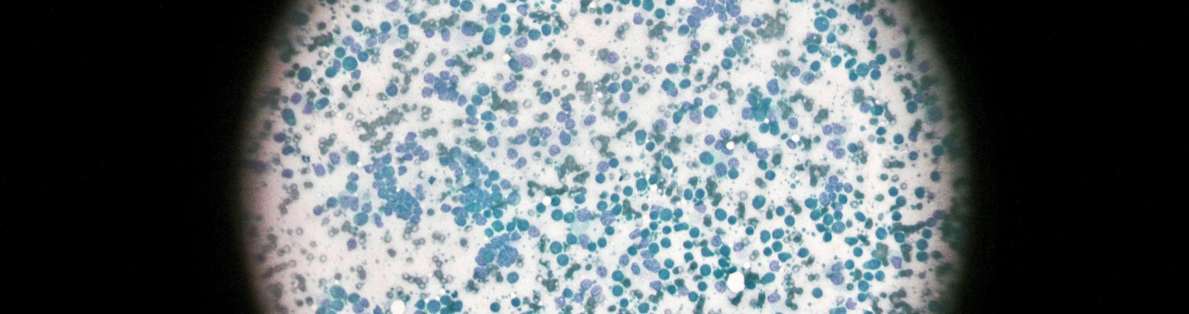 Bogdan Ivanišević and Slobodan Trivić write in CEE Legal Matters about Life Sciences