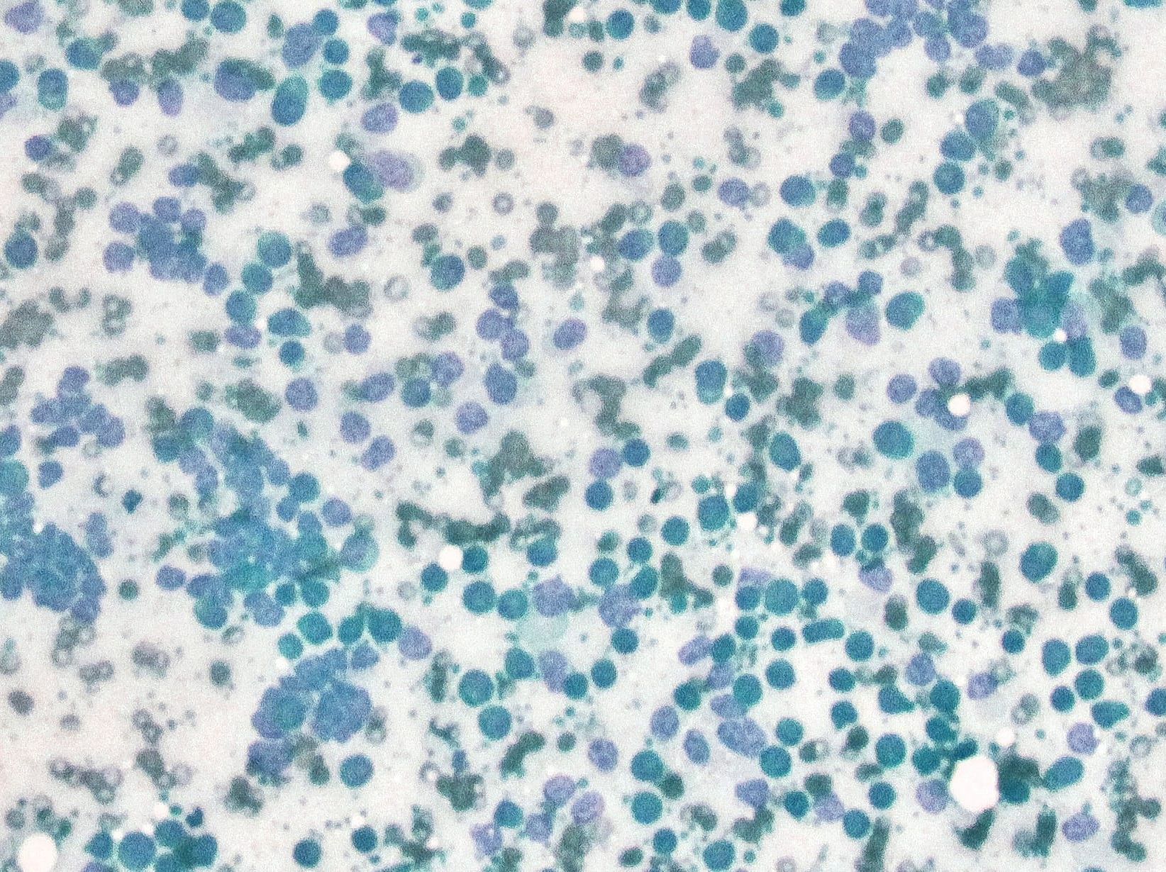 Bogdan Ivanišević and Slobodan Trivić write in CEE Legal Matters about Life Sciences