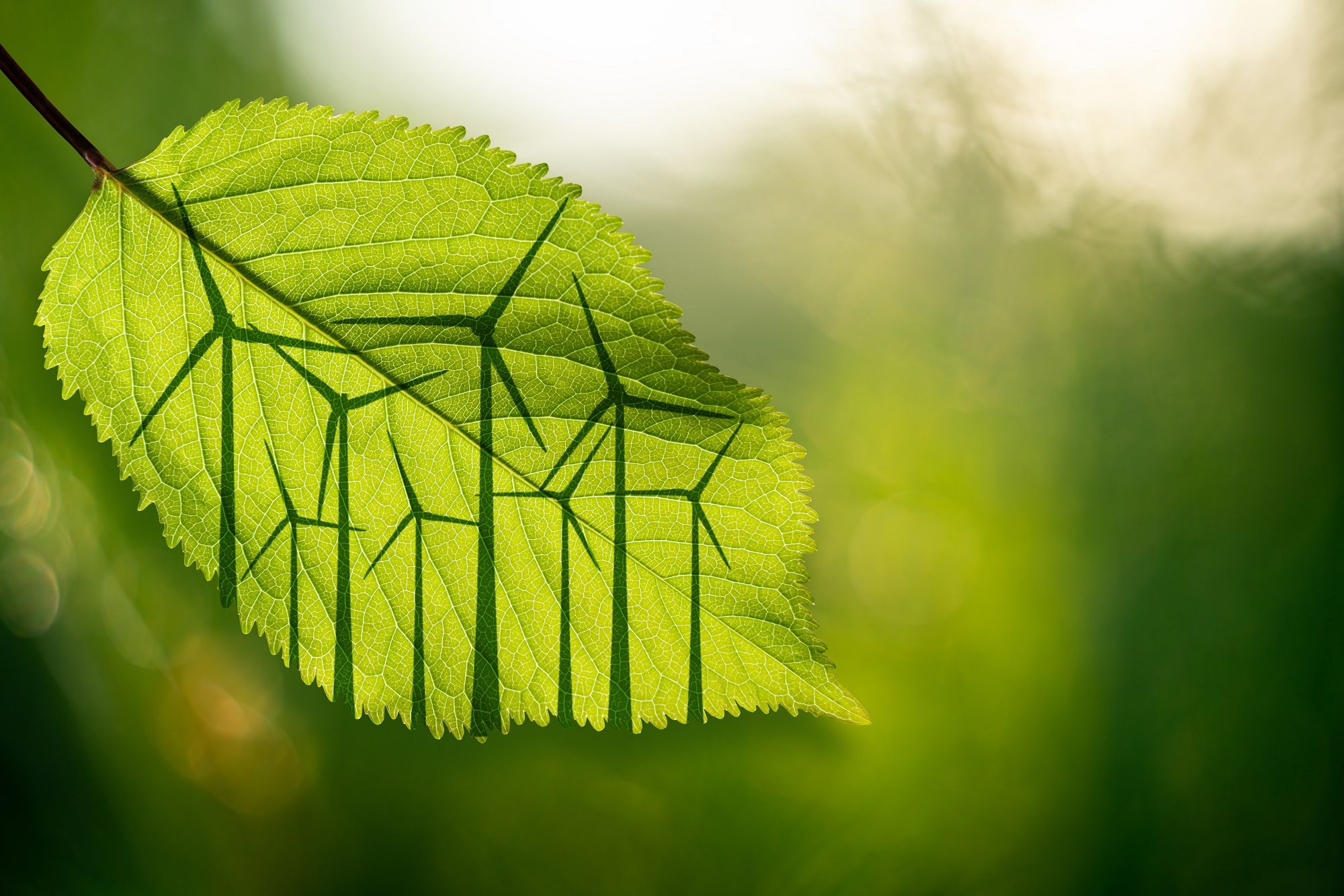 Bosnian energy brief: 1H 2025 legal update