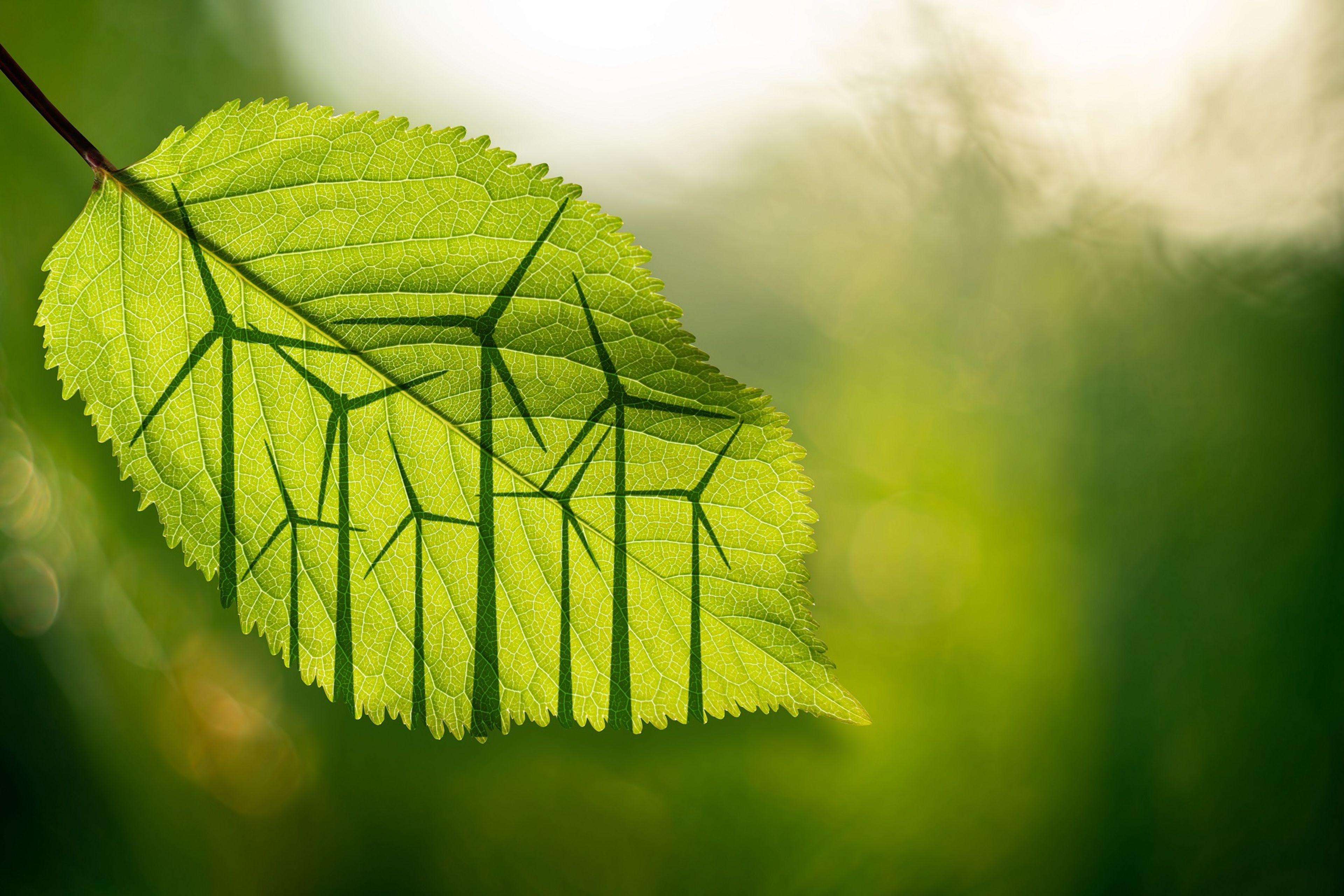 Bosnian energy brief: 1H 2025 legal update