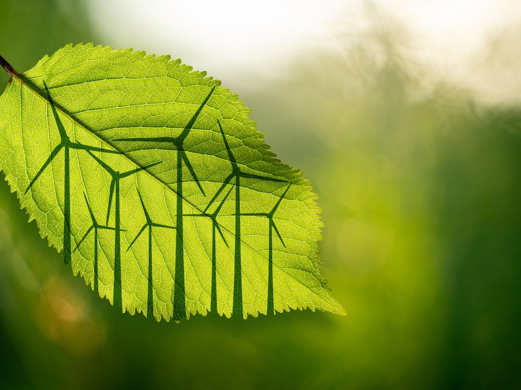 Bosnian energy brief: 1H 2025 legal update