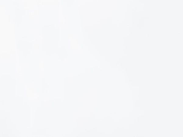 BDK Advokati at the first Business Forum Spain – Serbia