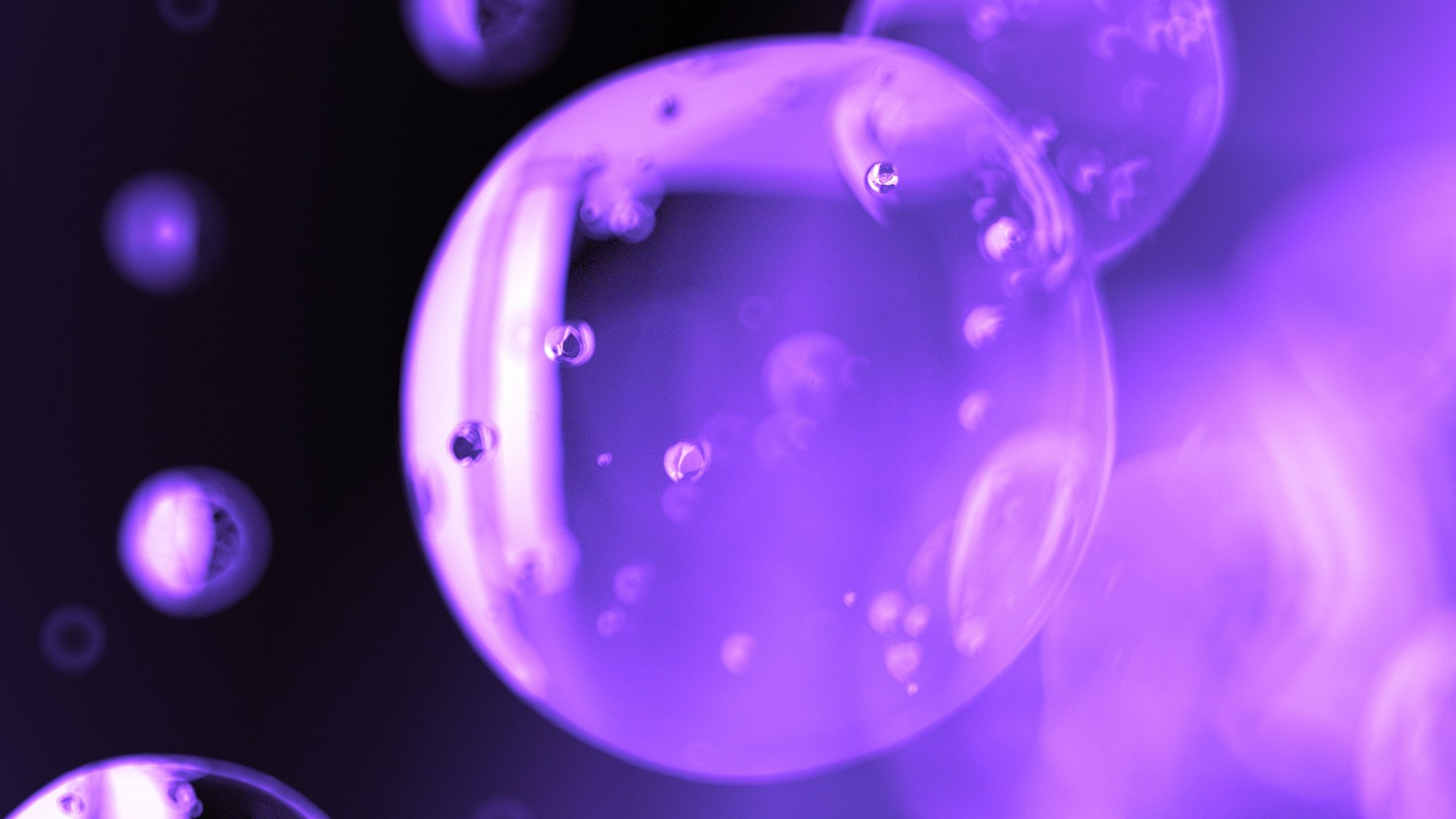 COVID-19 Update #8: Serbia/Montenegro/Bosnia and Herzegovina