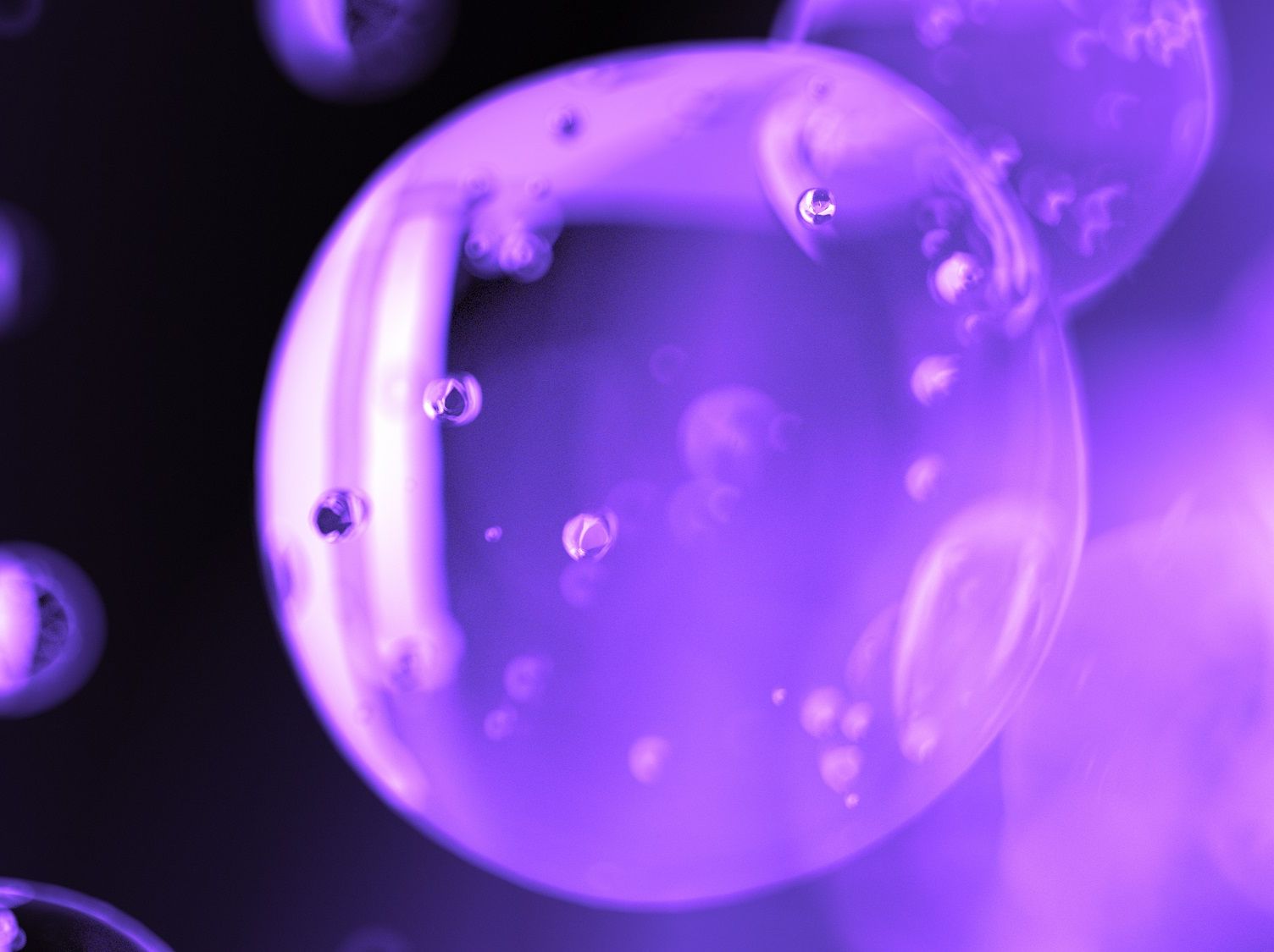 COVID-19 Update #8: Serbia/Montenegro/Bosnia and Herzegovina