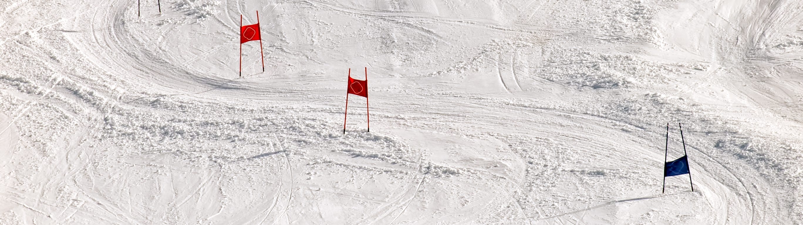 Changes in state aid control regime in Montenegro