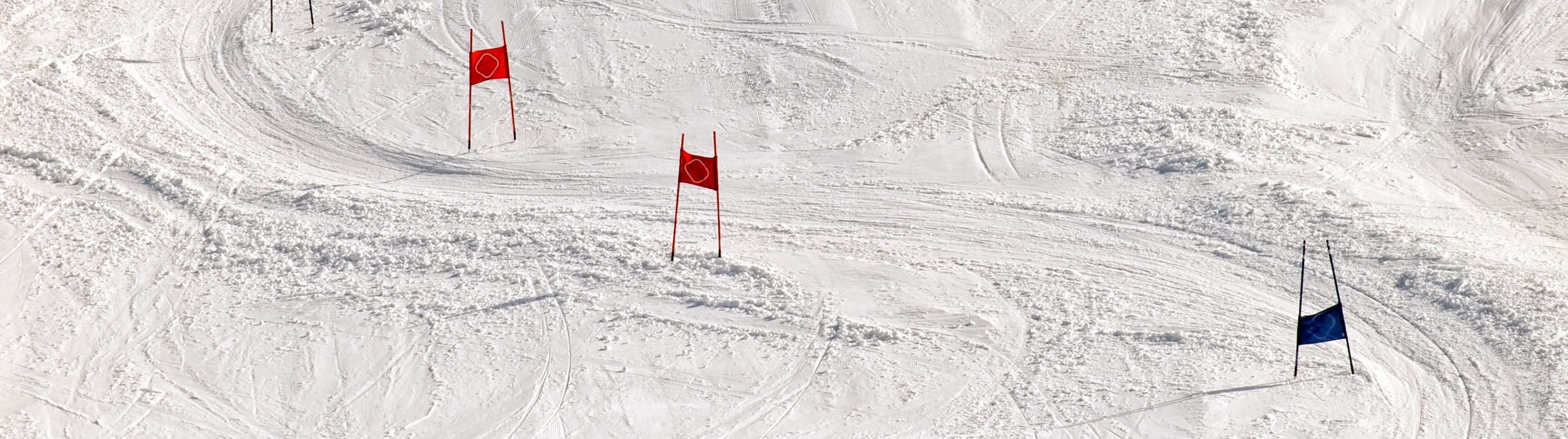 Changes in state aid control regime in Montenegro