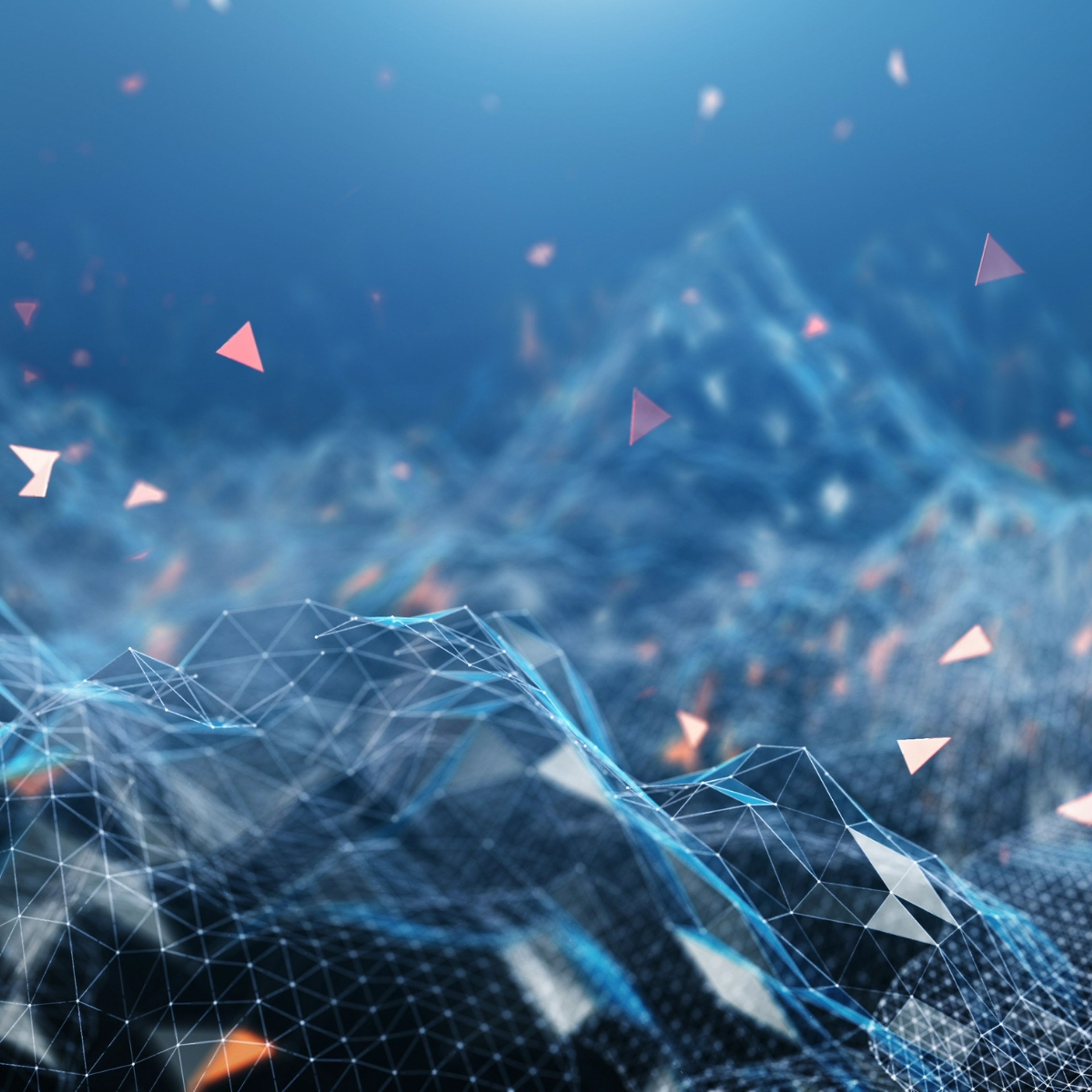 What can we learn from “trusted flaggers” decisions?