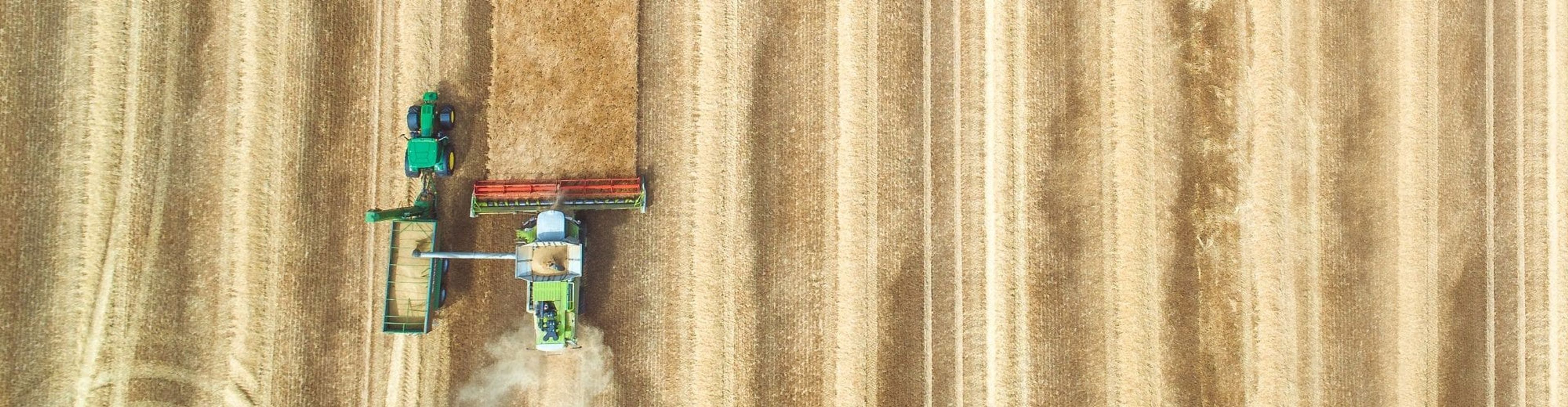 BDK Advokati advises Indian TAFE