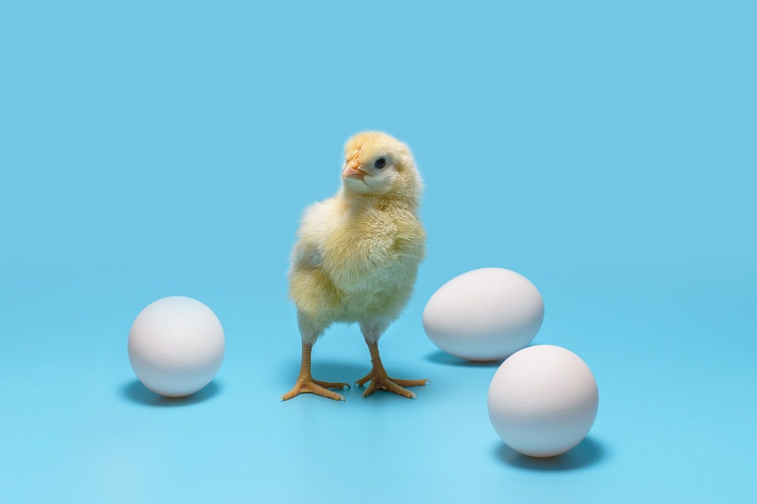 Hodler Asset Management acquires shares in SUPERIOR FOODS d.o.o.