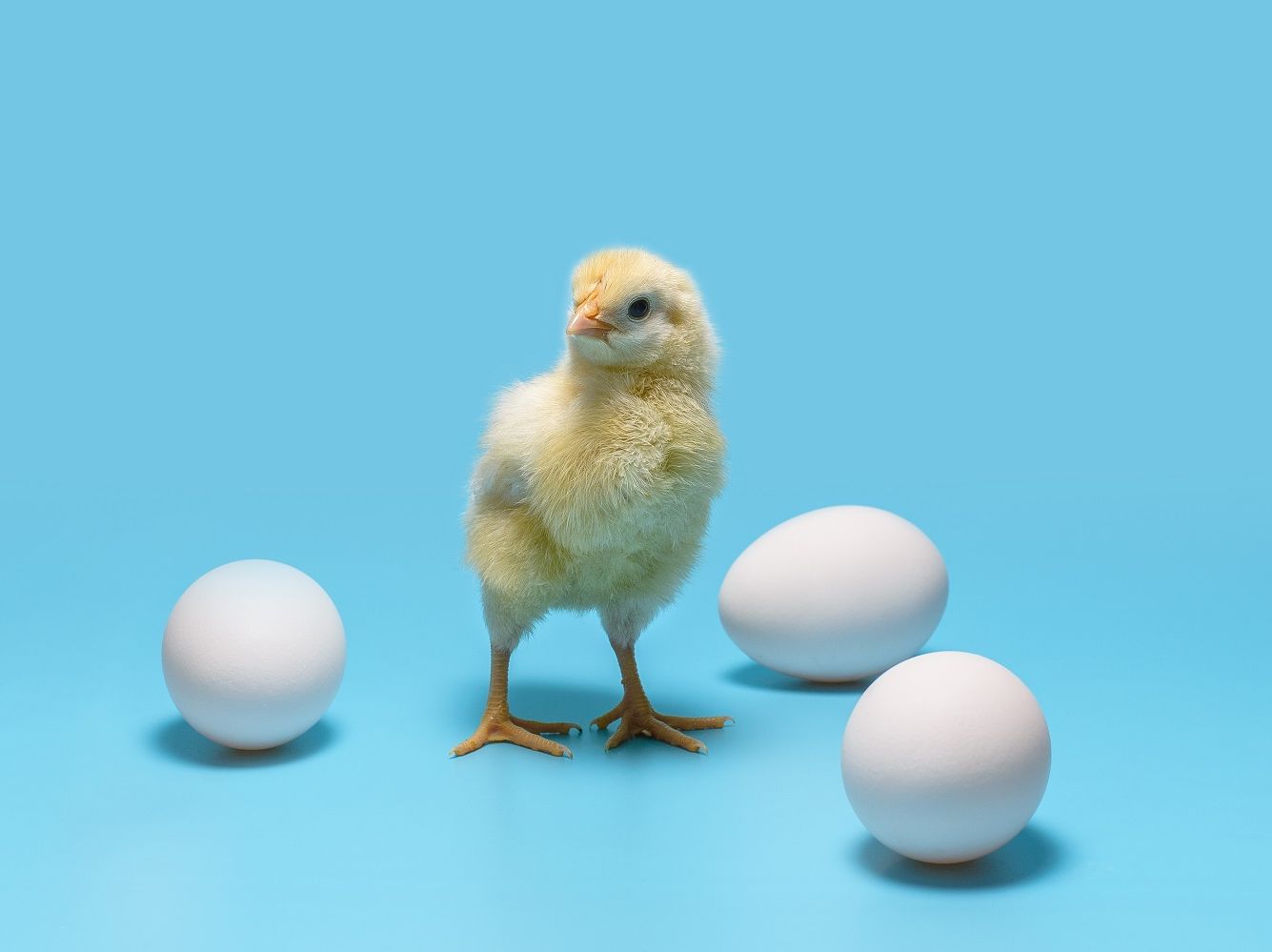 Hodler Asset Management acquires shares in SUPERIOR FOODS d.o.o.