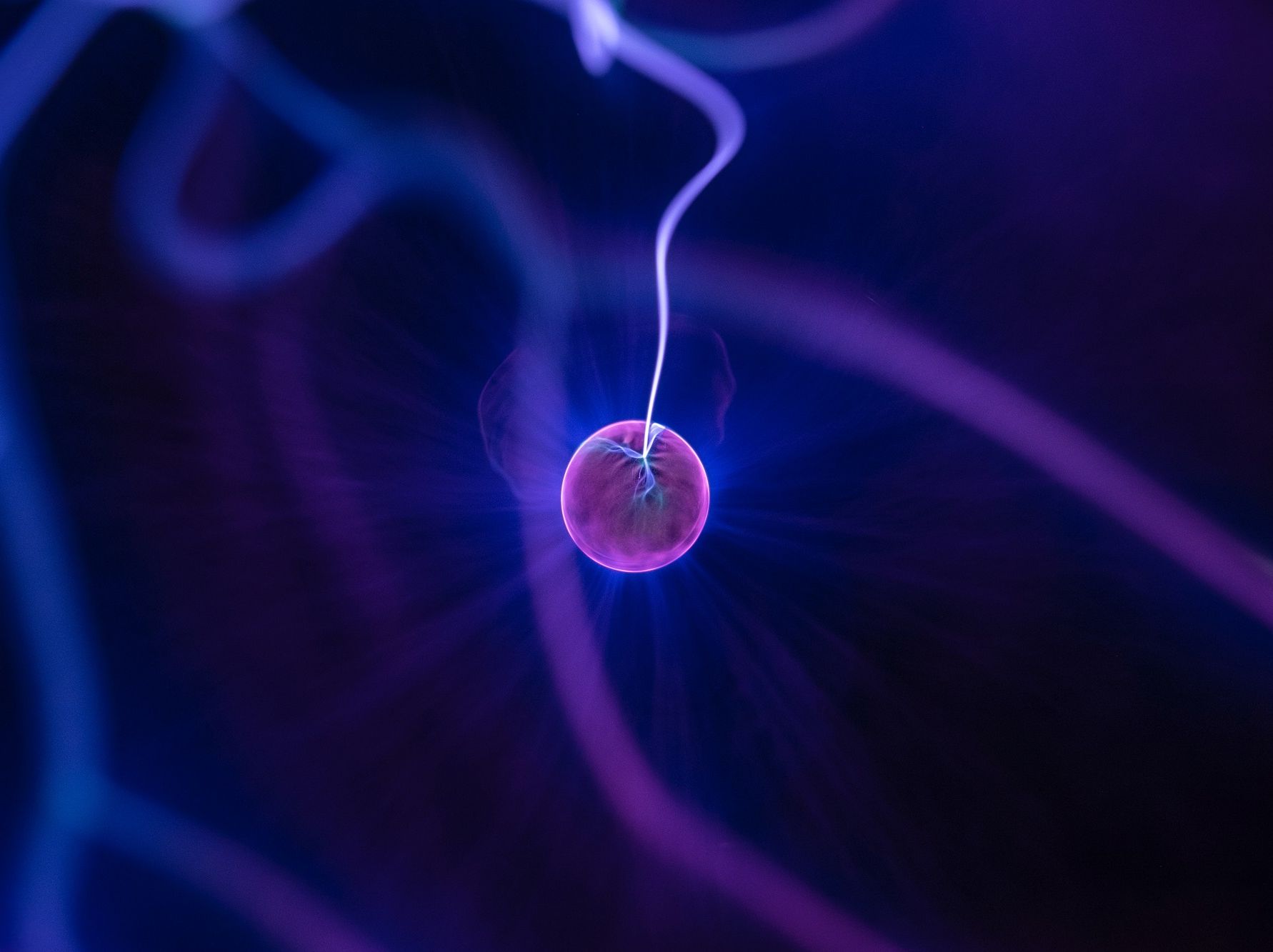 COVID-19 Update #6: Serbia/Montenegro/Bosnia and Herzegovina