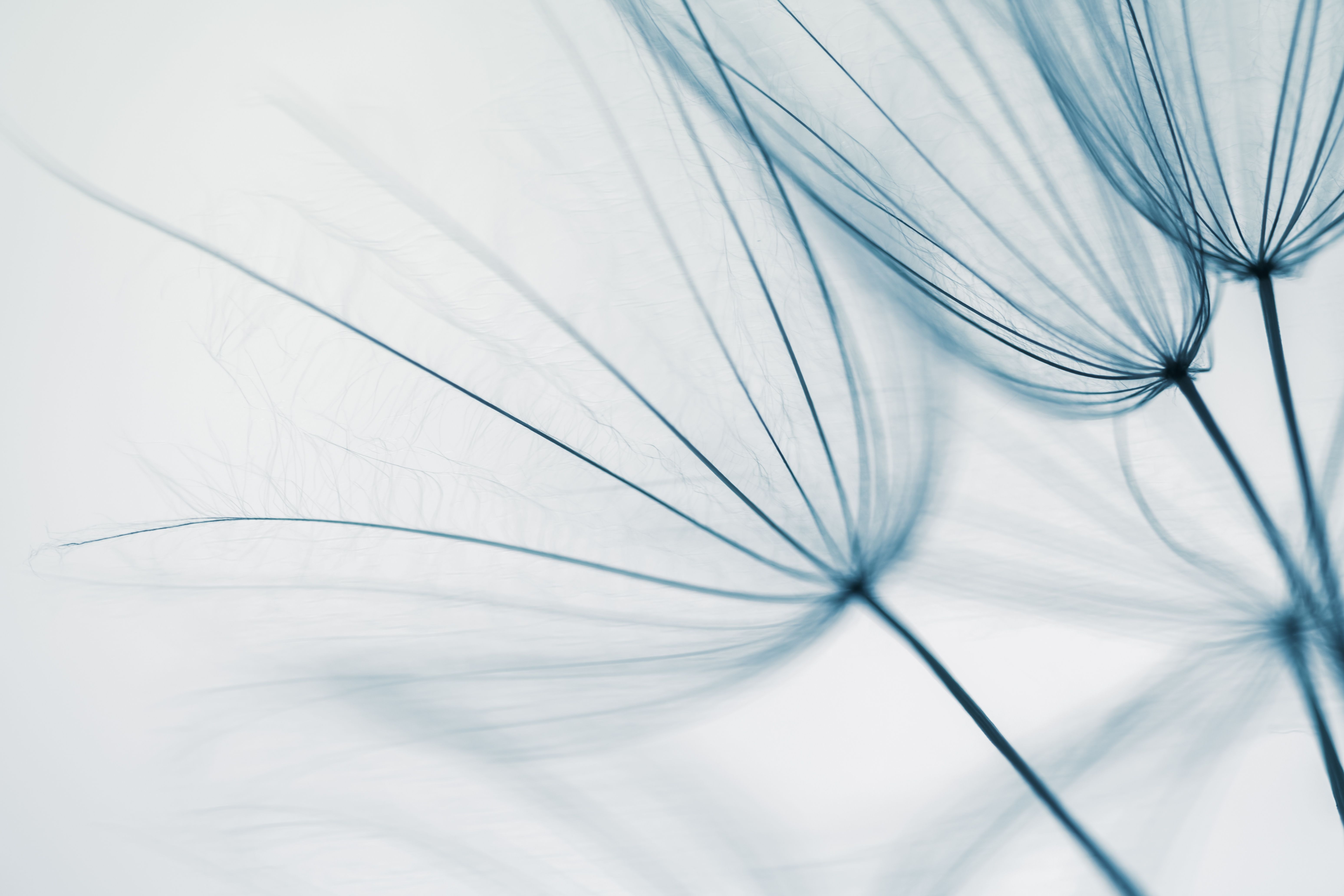 BDK Advokati contributes to Chambers Merger Control 2026 Global Practice Guide