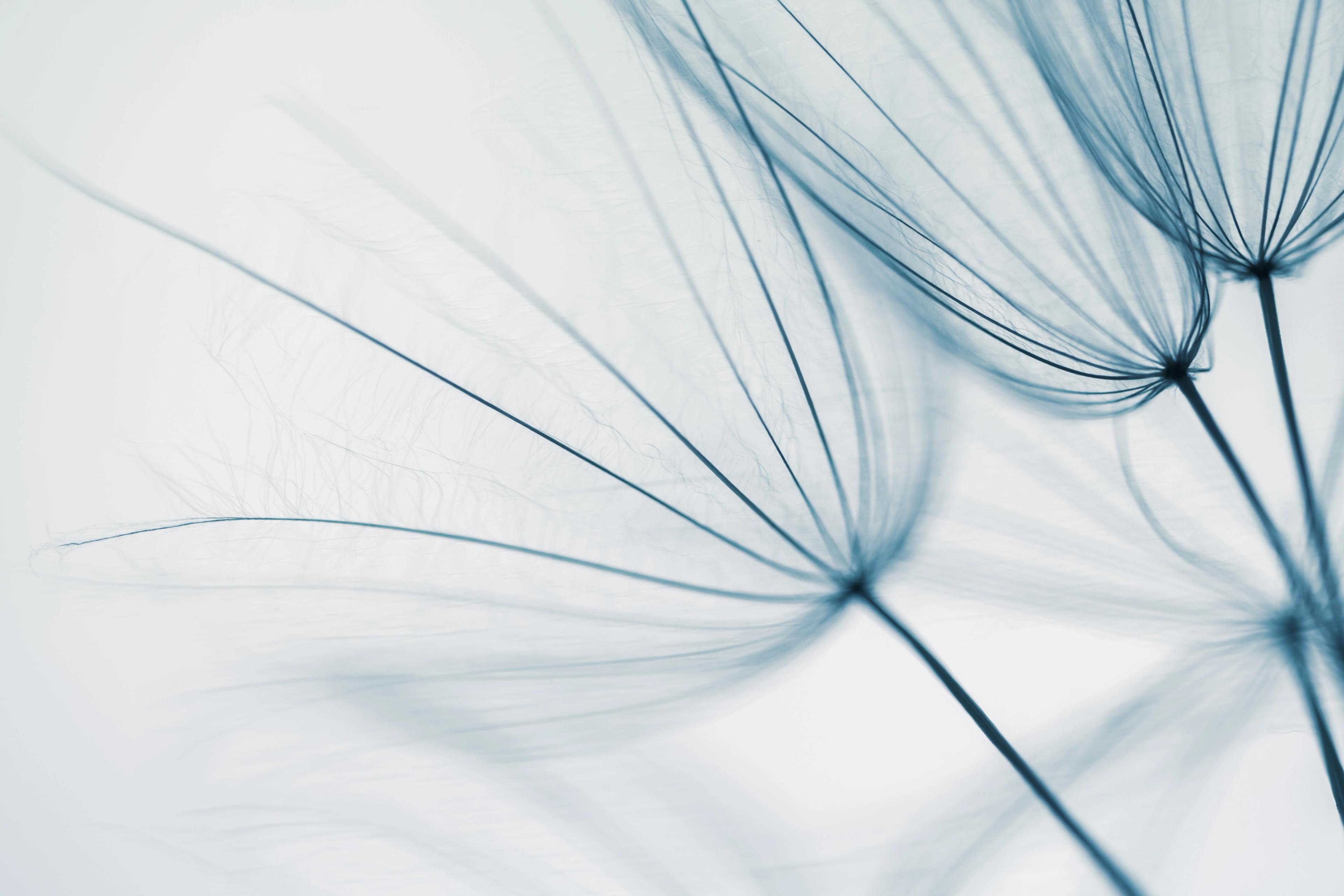 BDK Advokati contributes to Chambers Merger Control 2026 Global Practice Guide