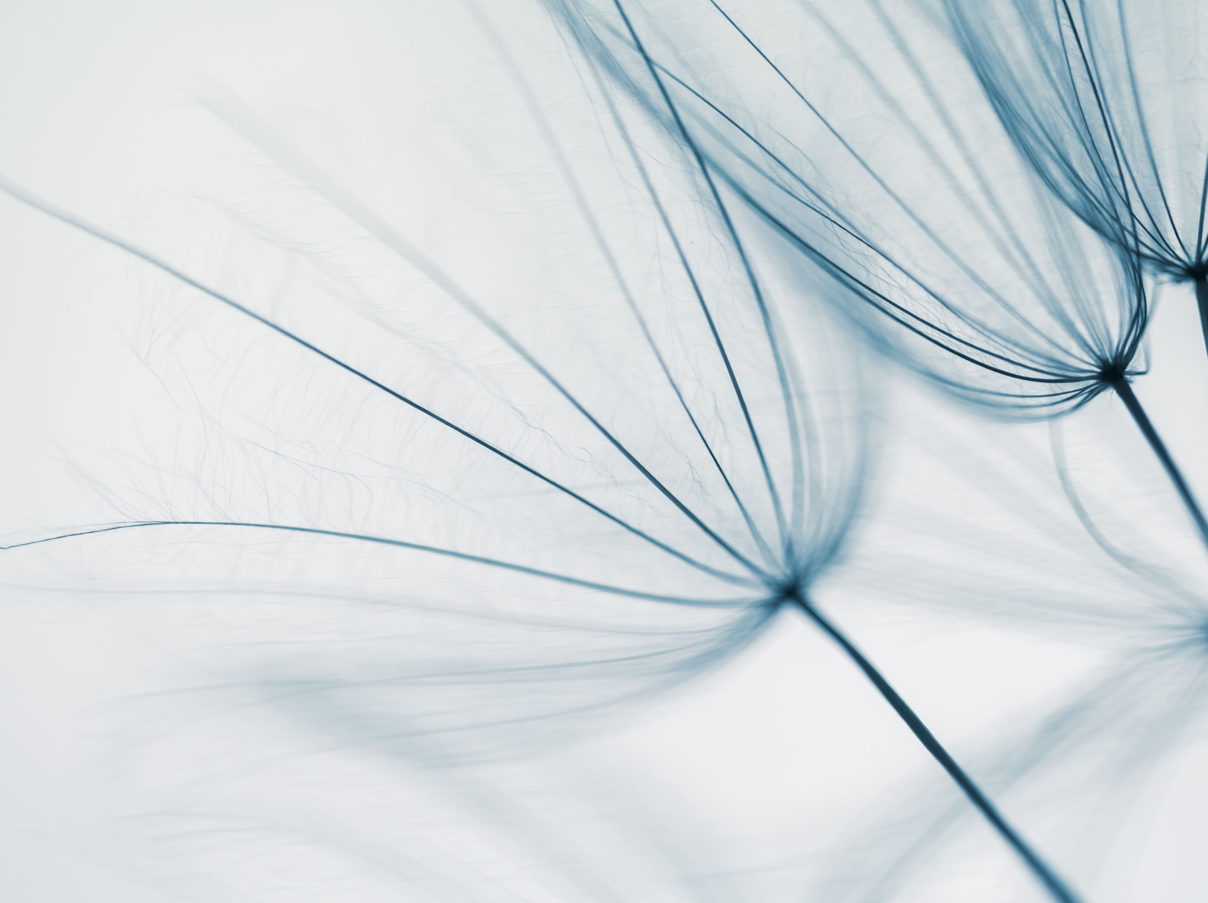 BDK Advokati contributes to Chambers Merger Control 2026 Global Practice Guide